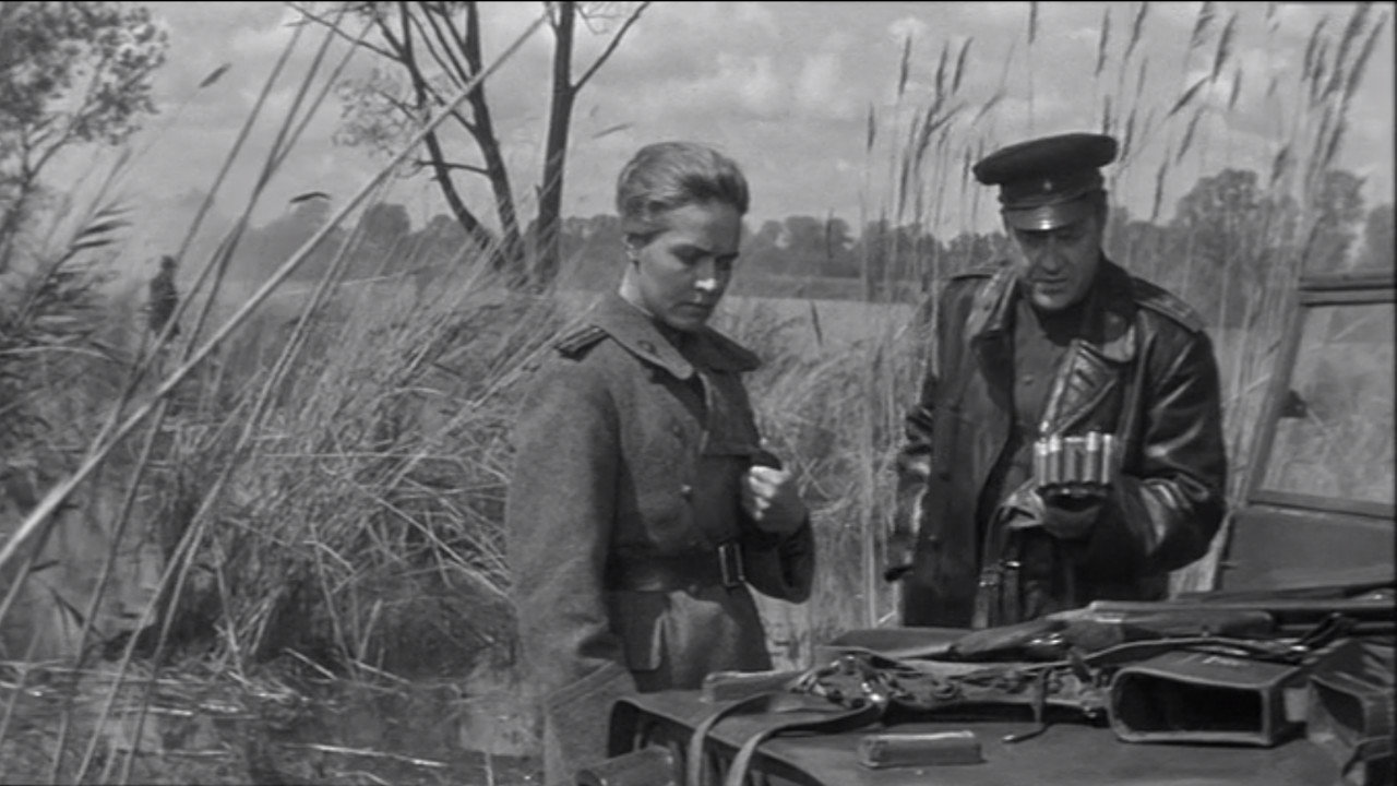 Spring on the Oder's poster
