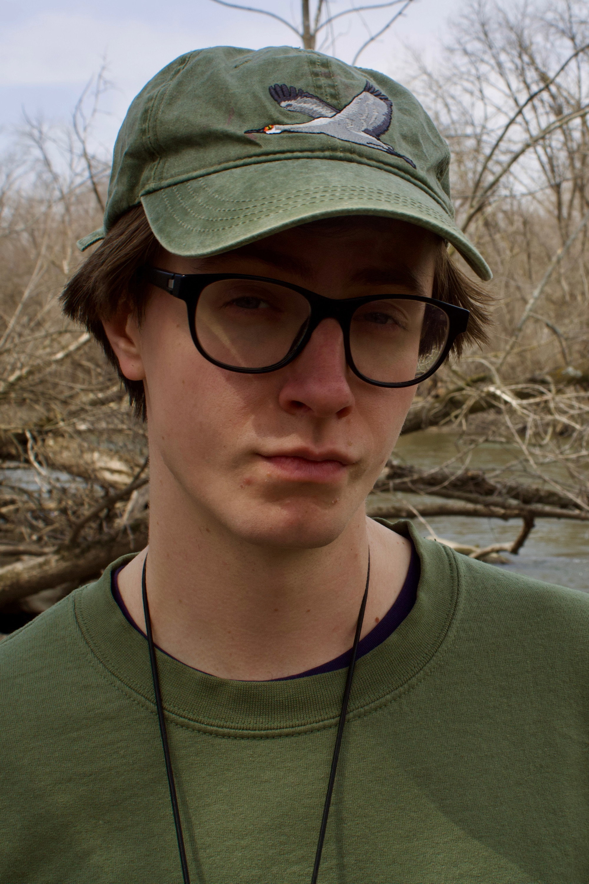 Henry Petrini's poster