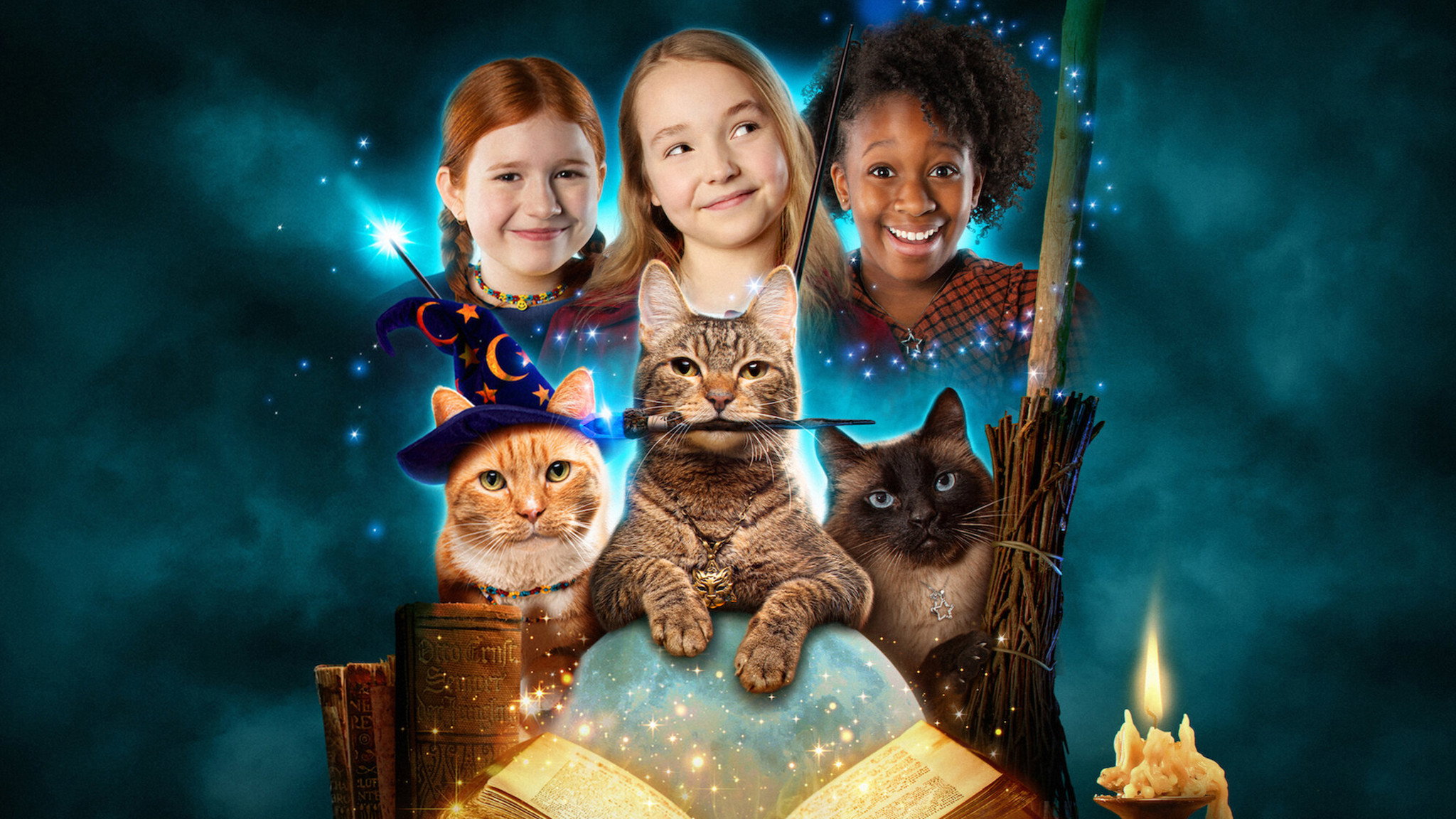 Scaredy Cats's poster