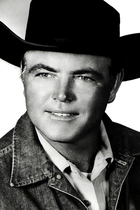 Hank Robinson's poster