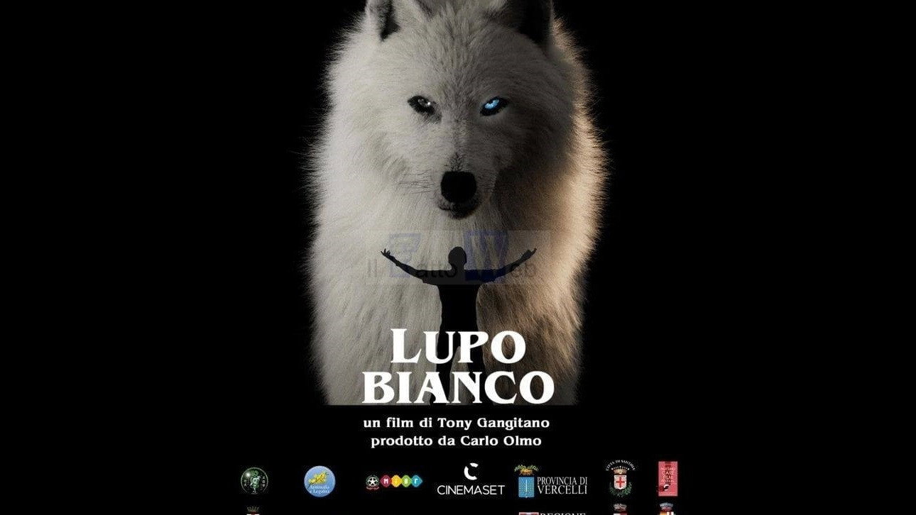 White Wolf's poster