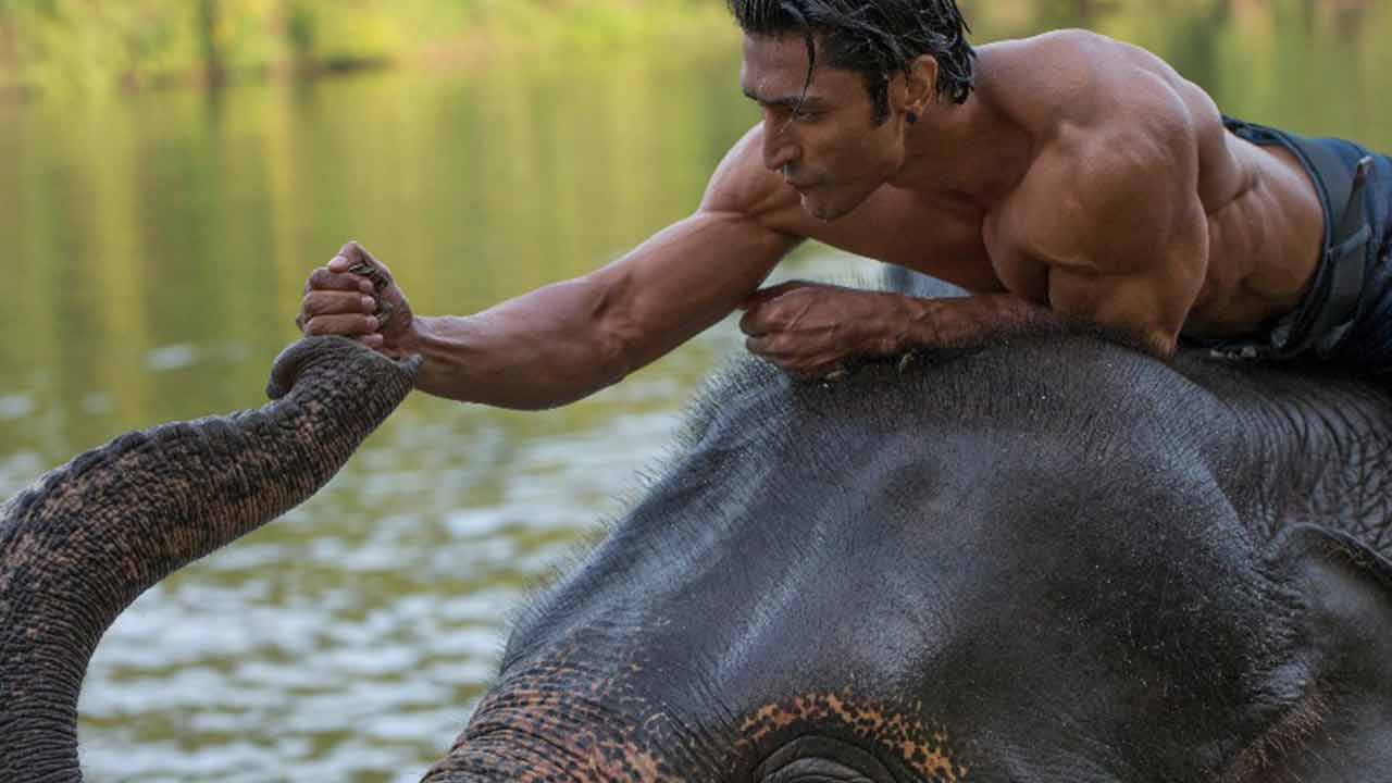 Junglee's poster