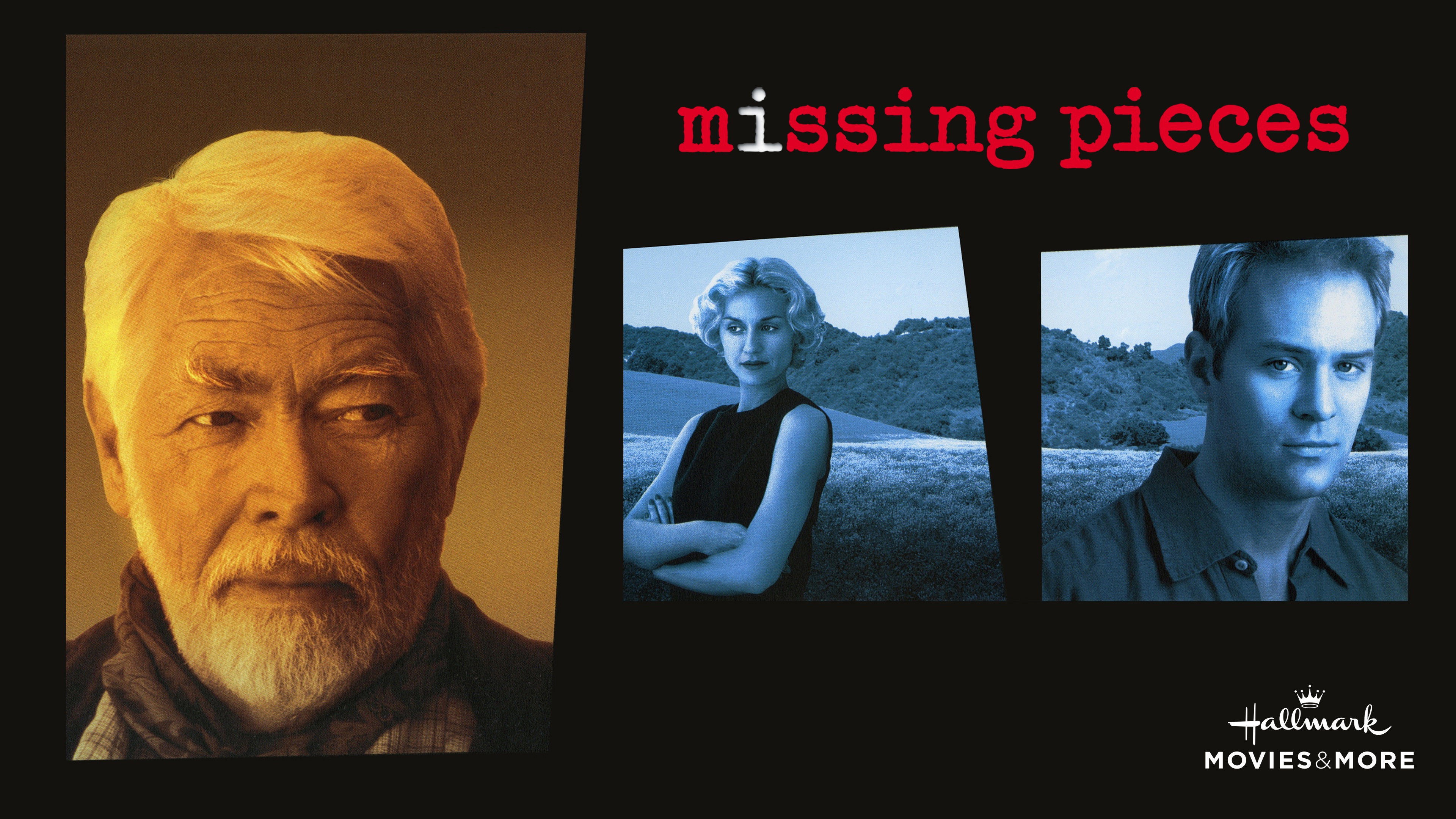 Missing Pieces's poster