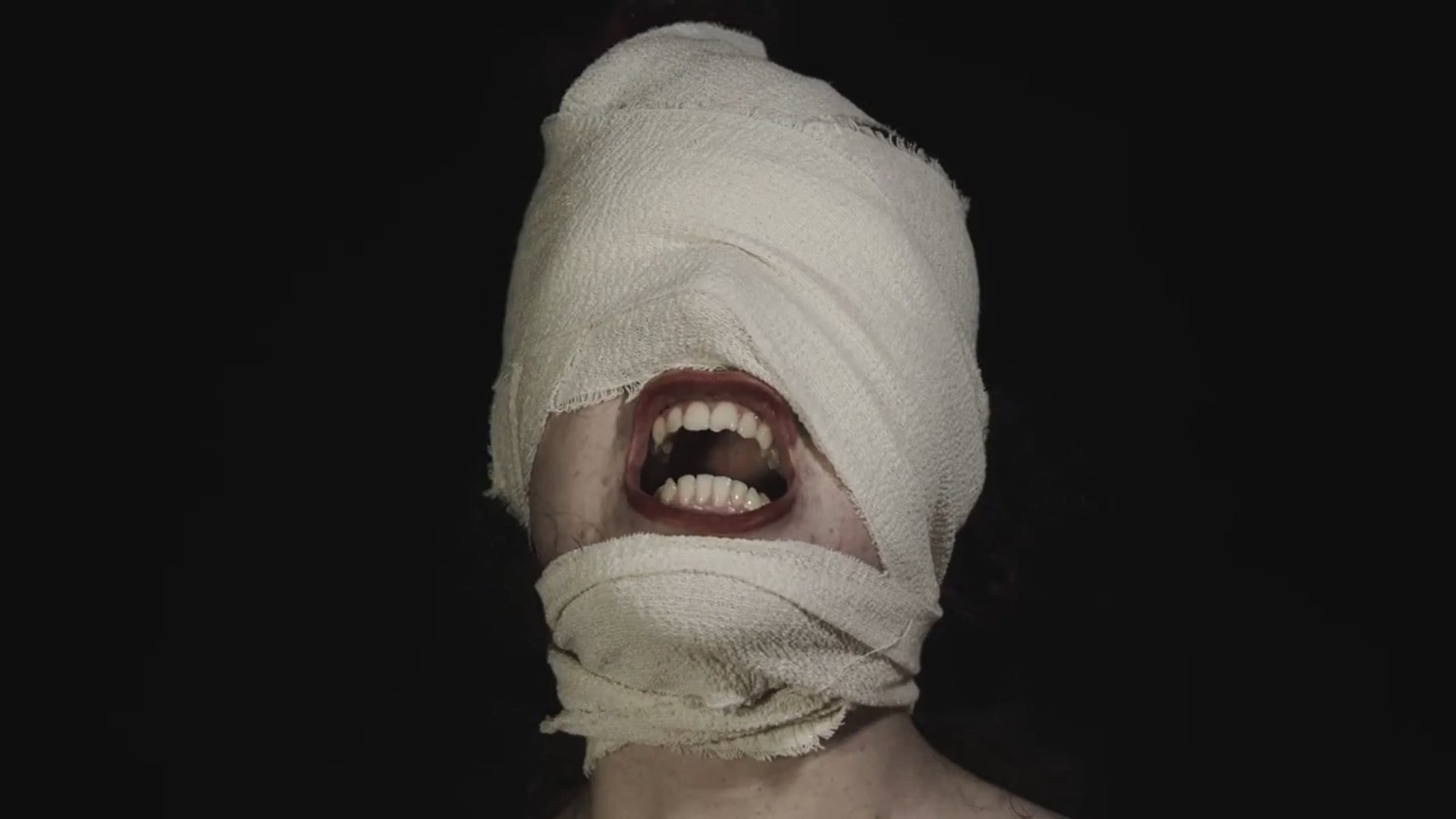 The Bite's poster