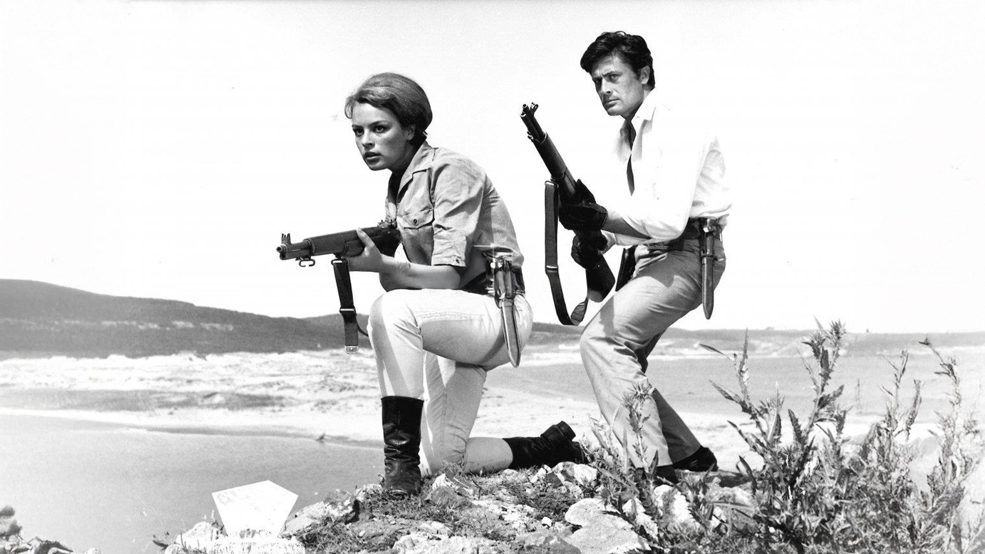 Dişi Düşman's poster