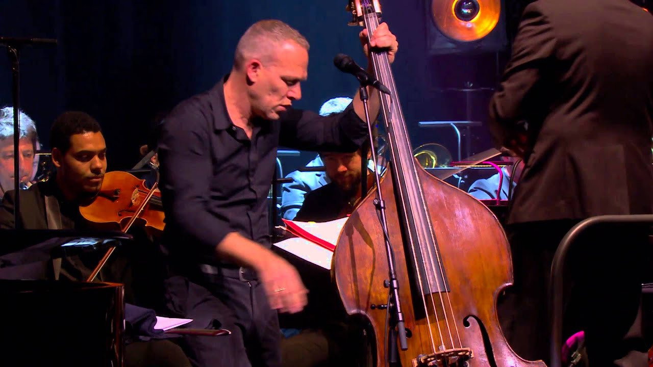 Avishai Cohen Symphony's poster