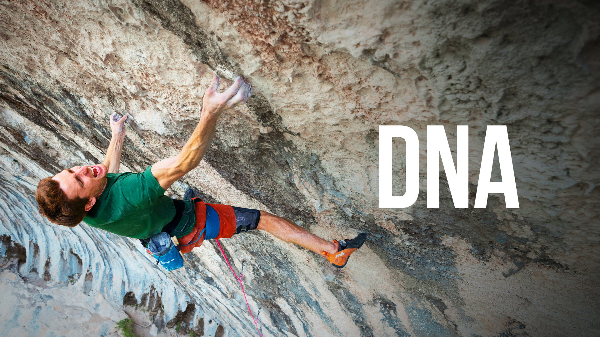 DNA's poster