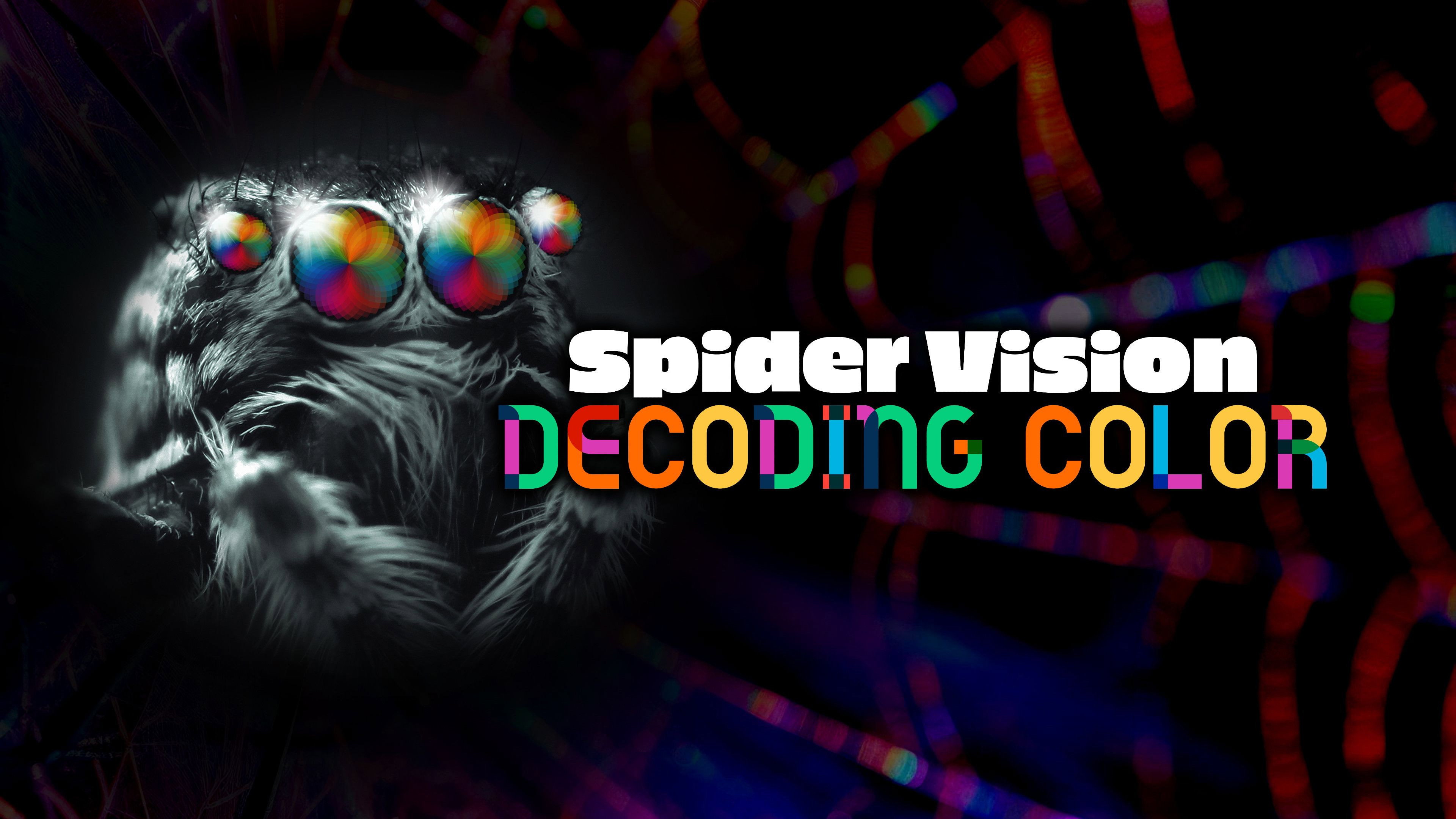 Spider Vision: Decoding Color's poster