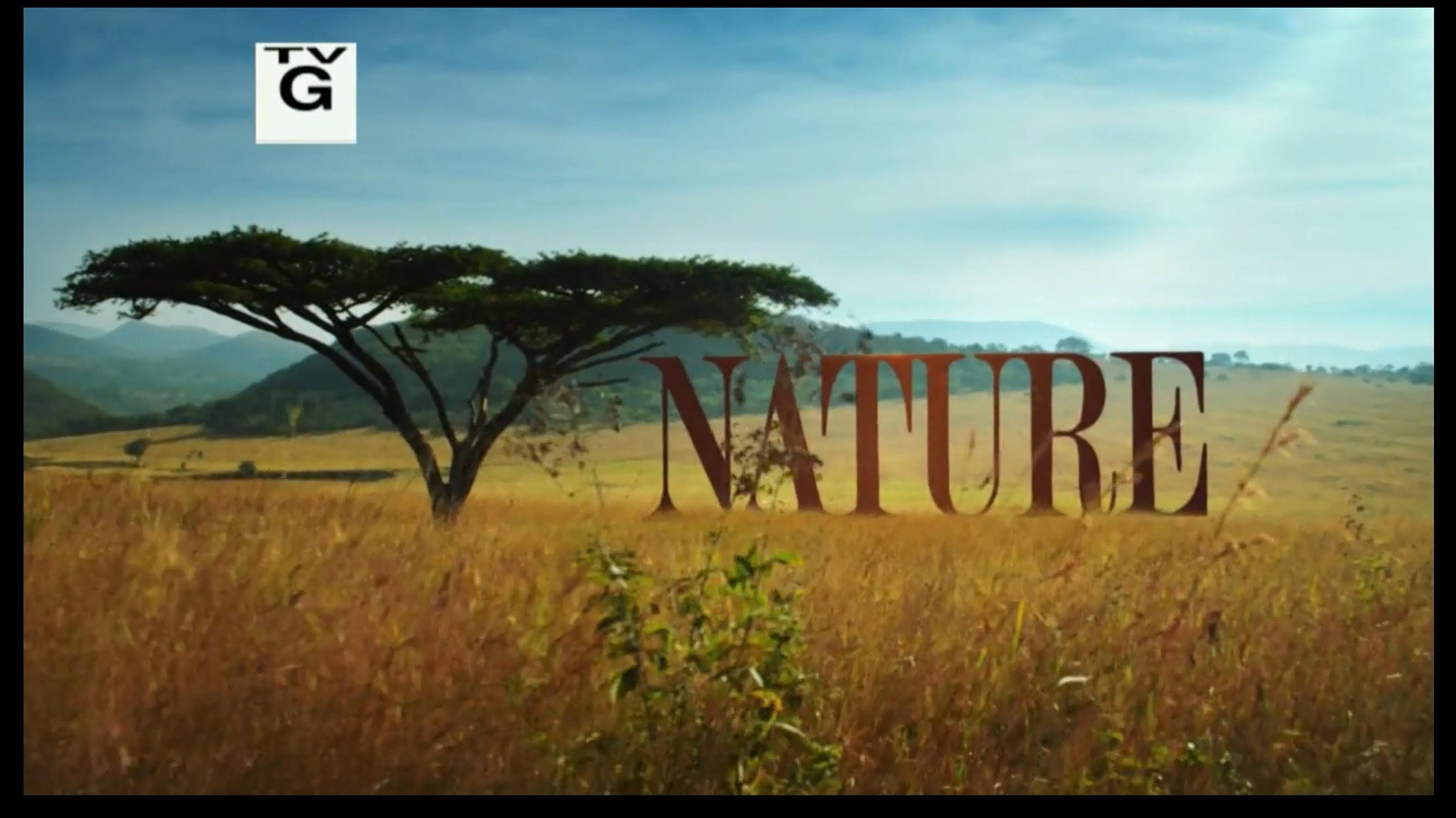 Nature: Yosemite's poster