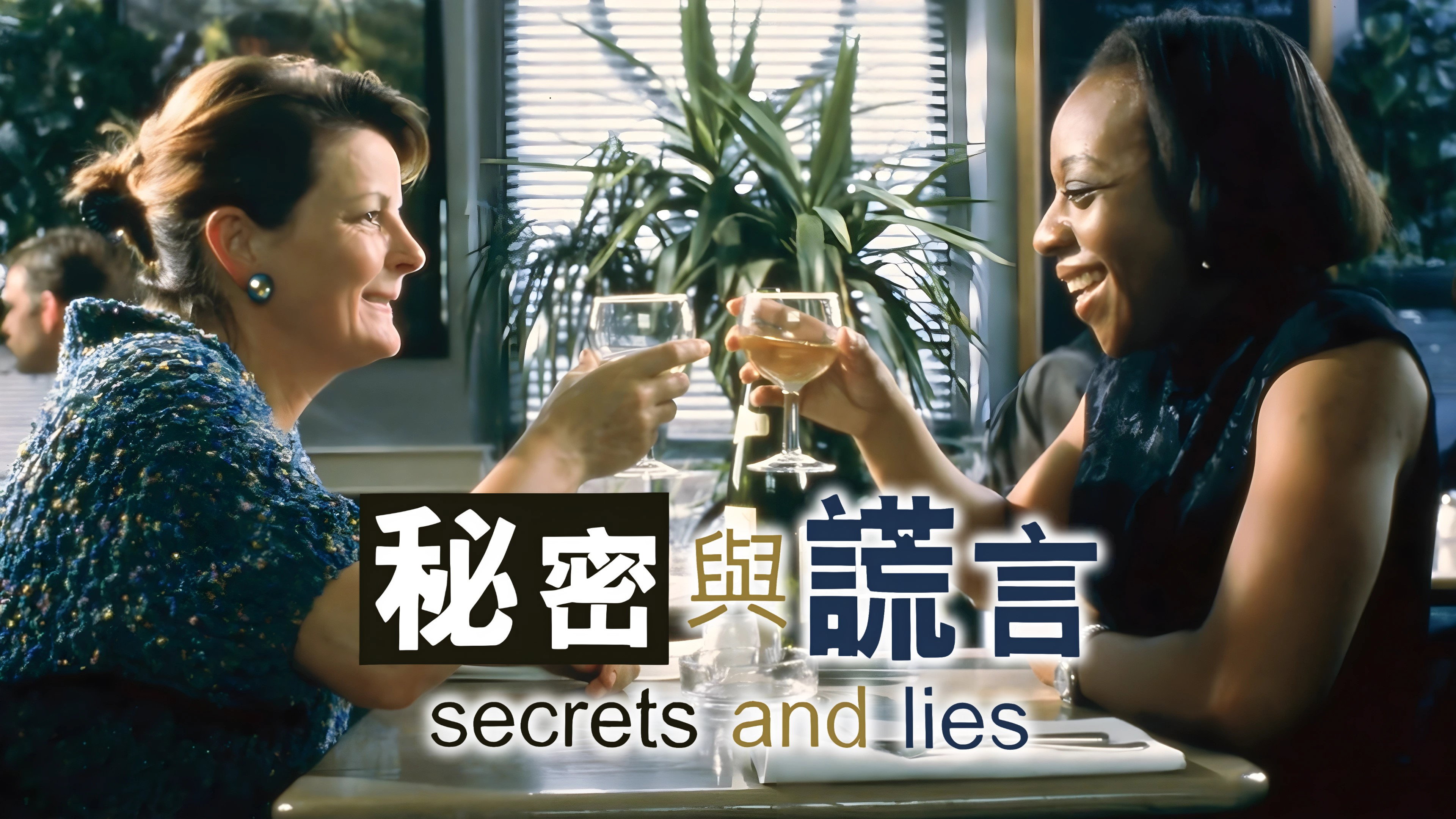 Secrets & Lies's poster