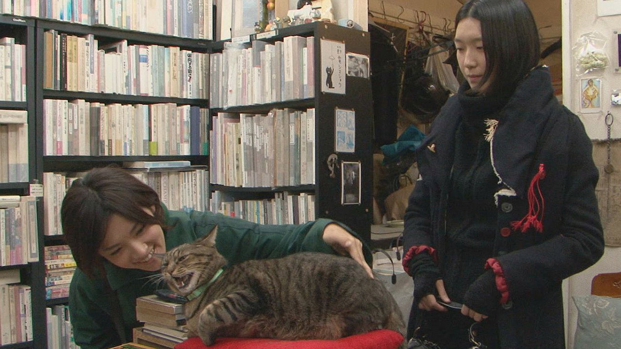 I’m a Cat Stalker's poster