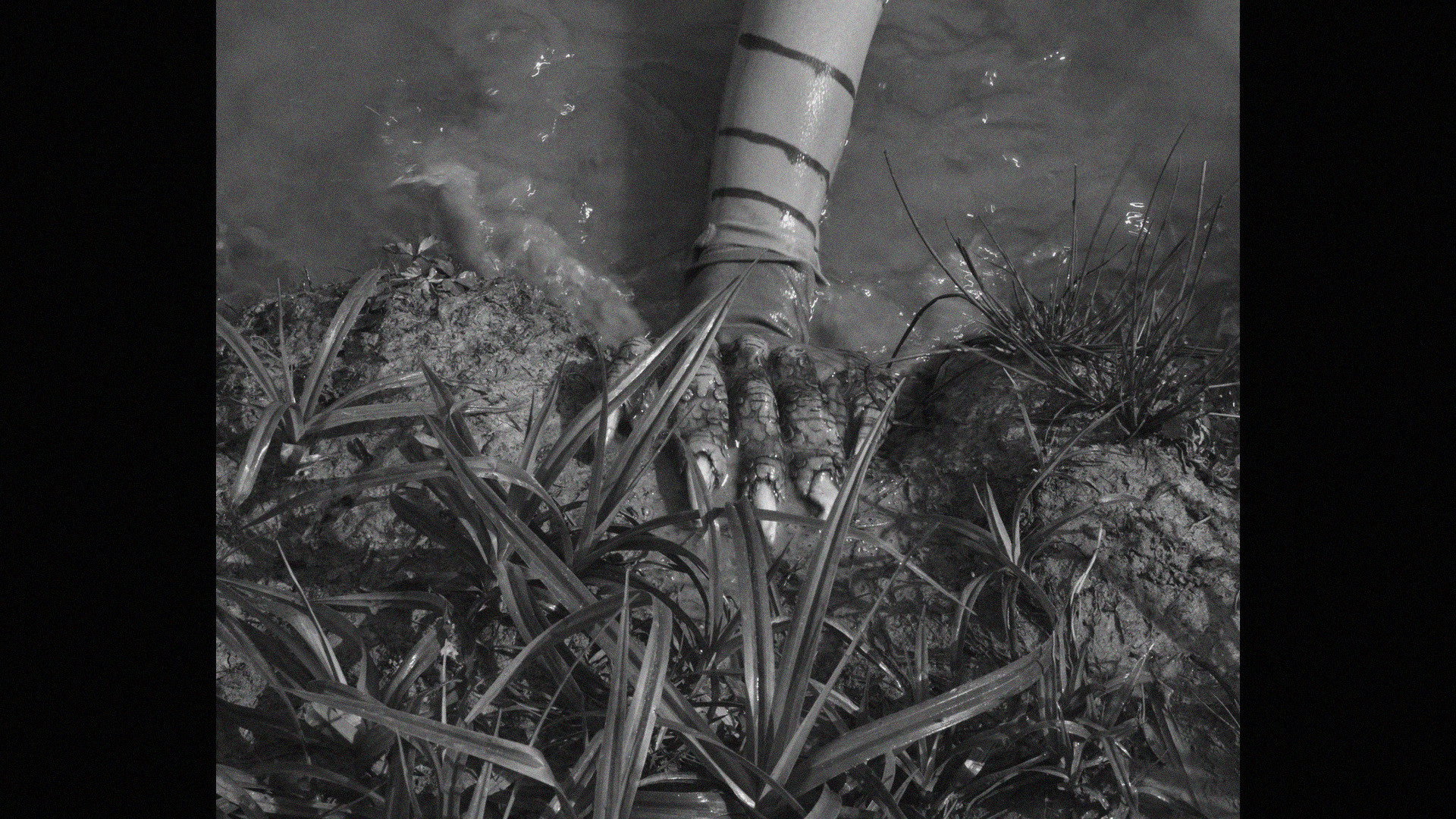 FROGGER, LA CREATURE DU LAC's poster