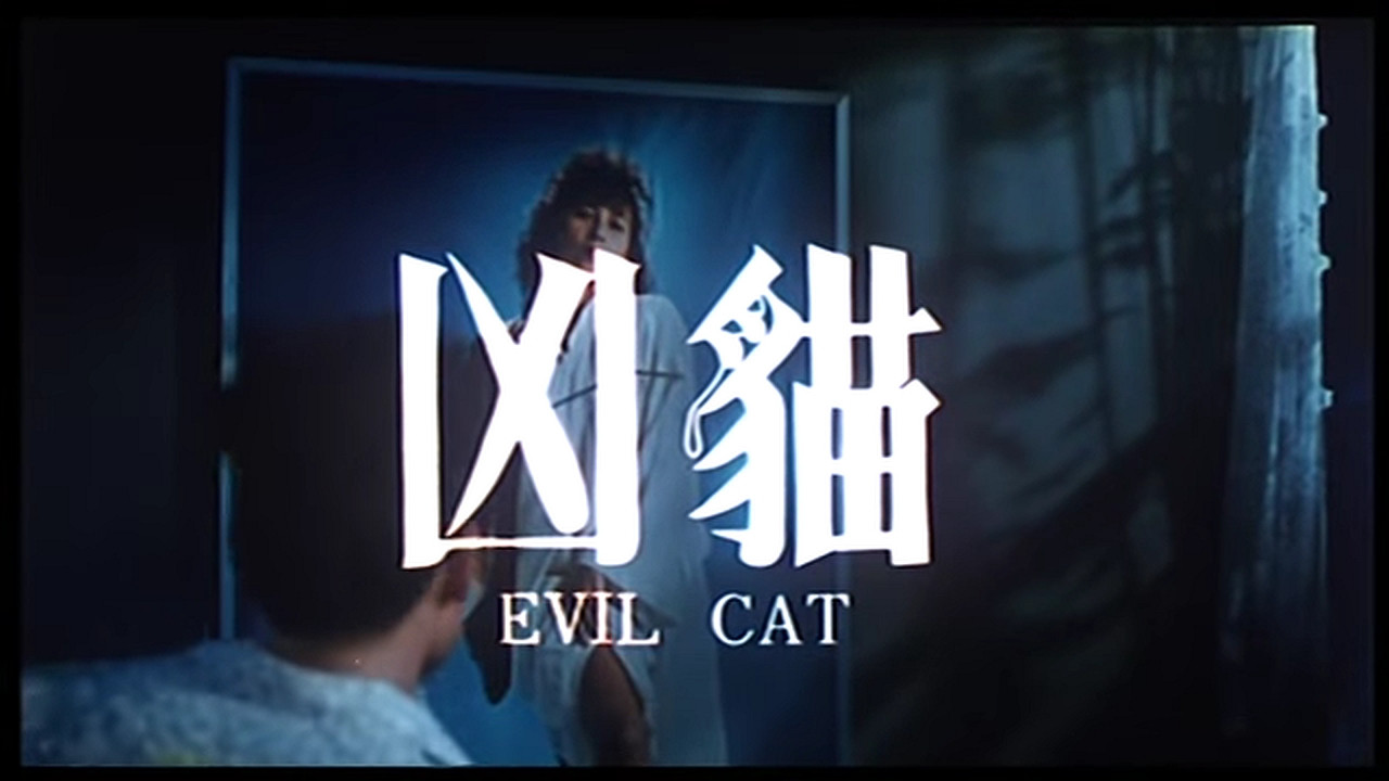 Evil Cat's poster