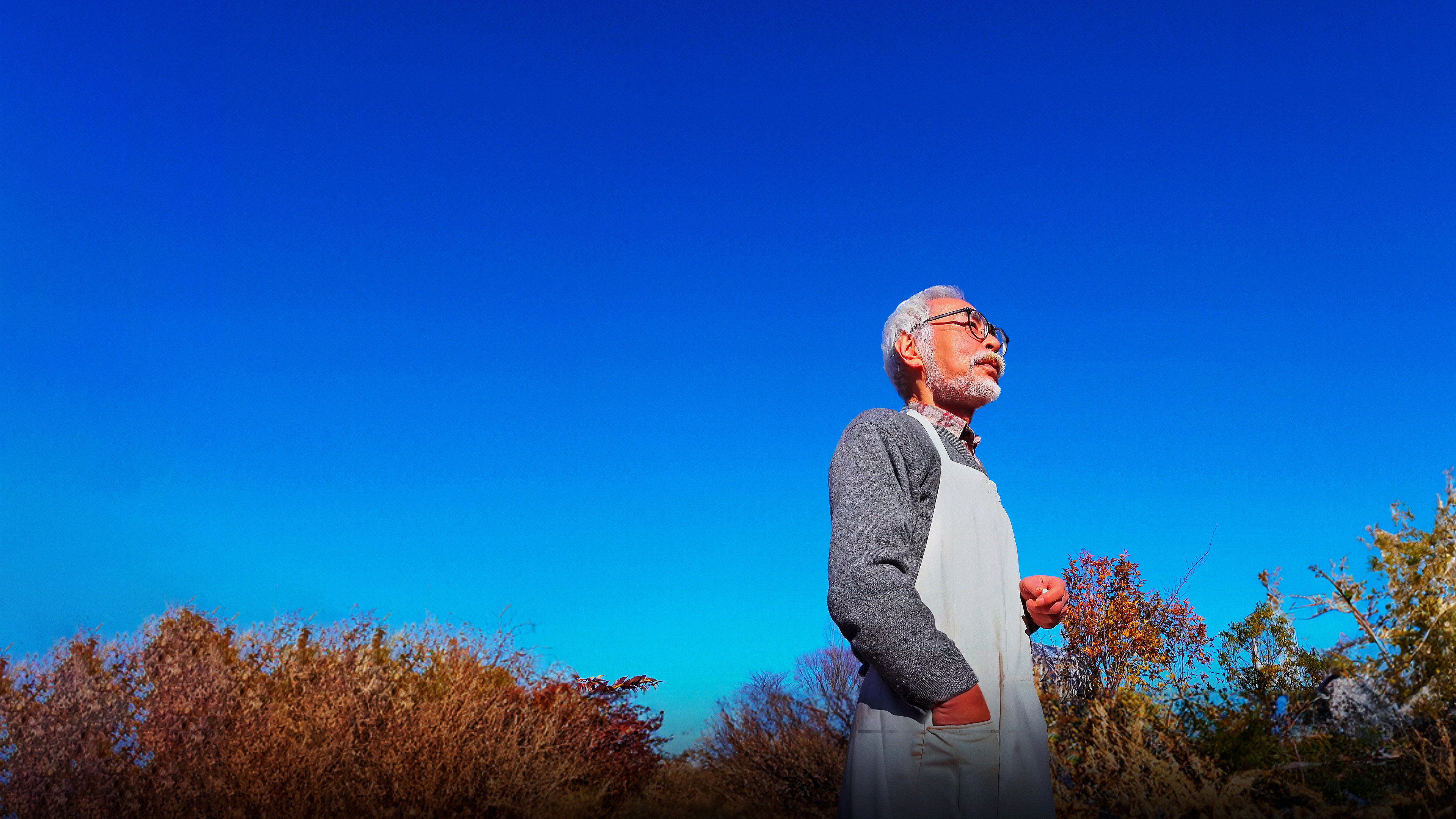 Hayao Miyazaki and the Heron's poster
