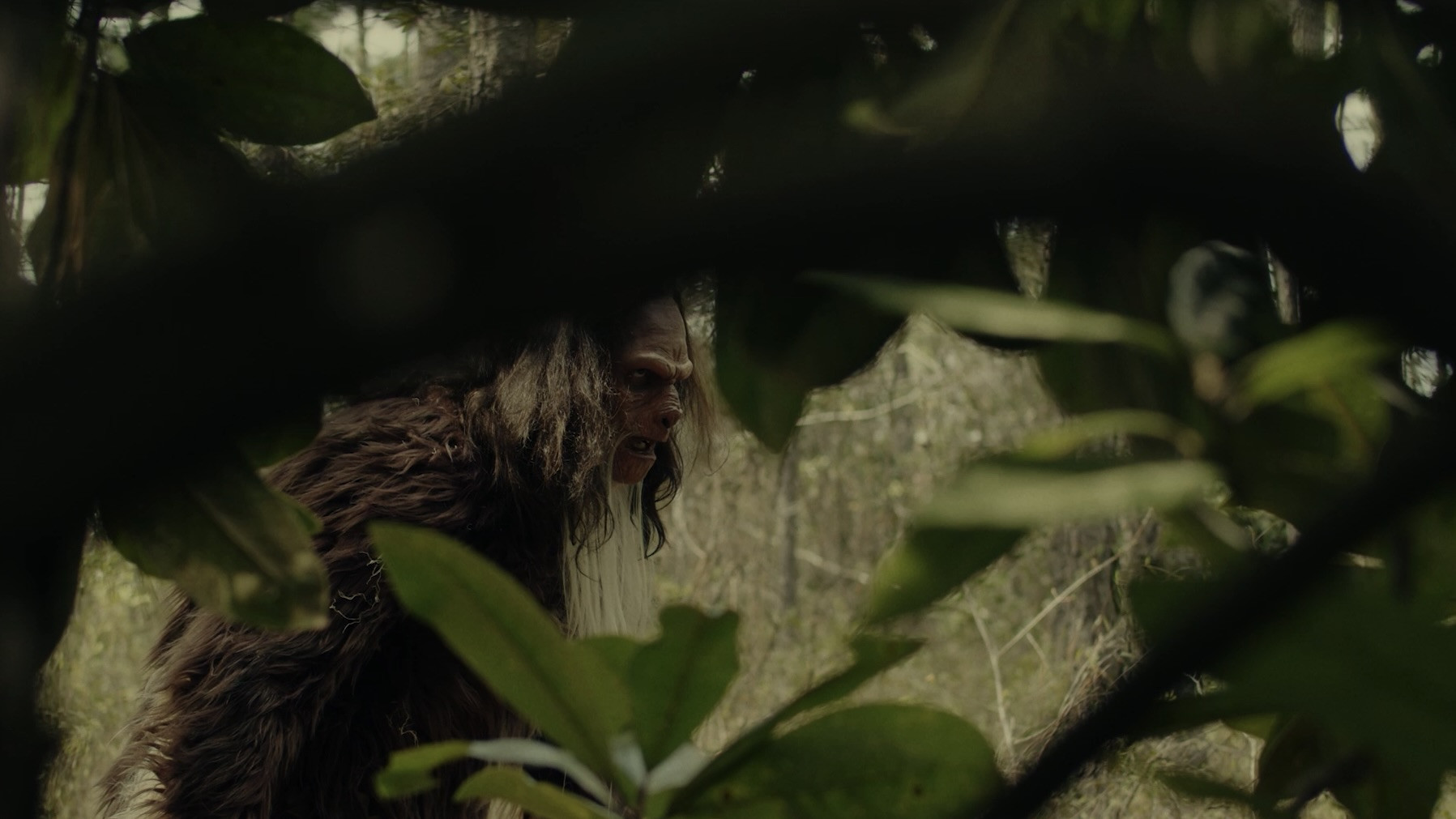 Sighting's poster