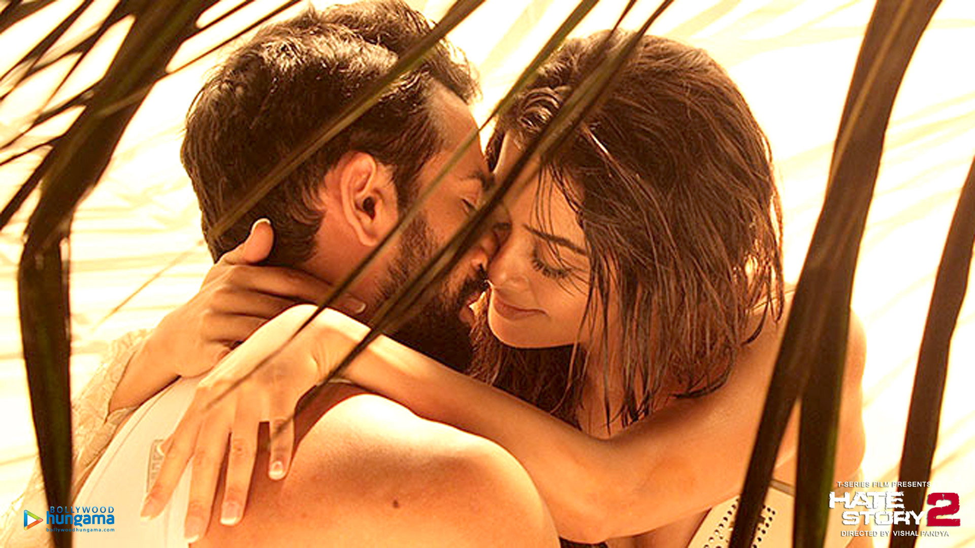 Hate Story 2's poster