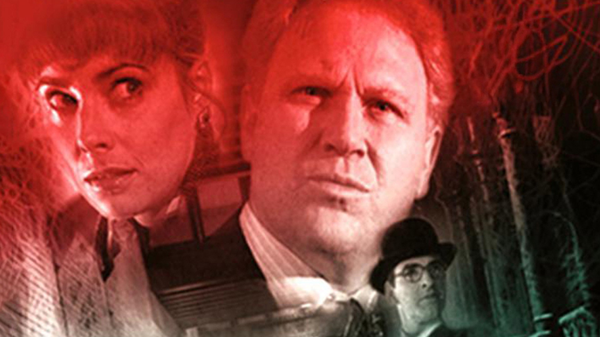 The Stranger: In Memory Alone's poster