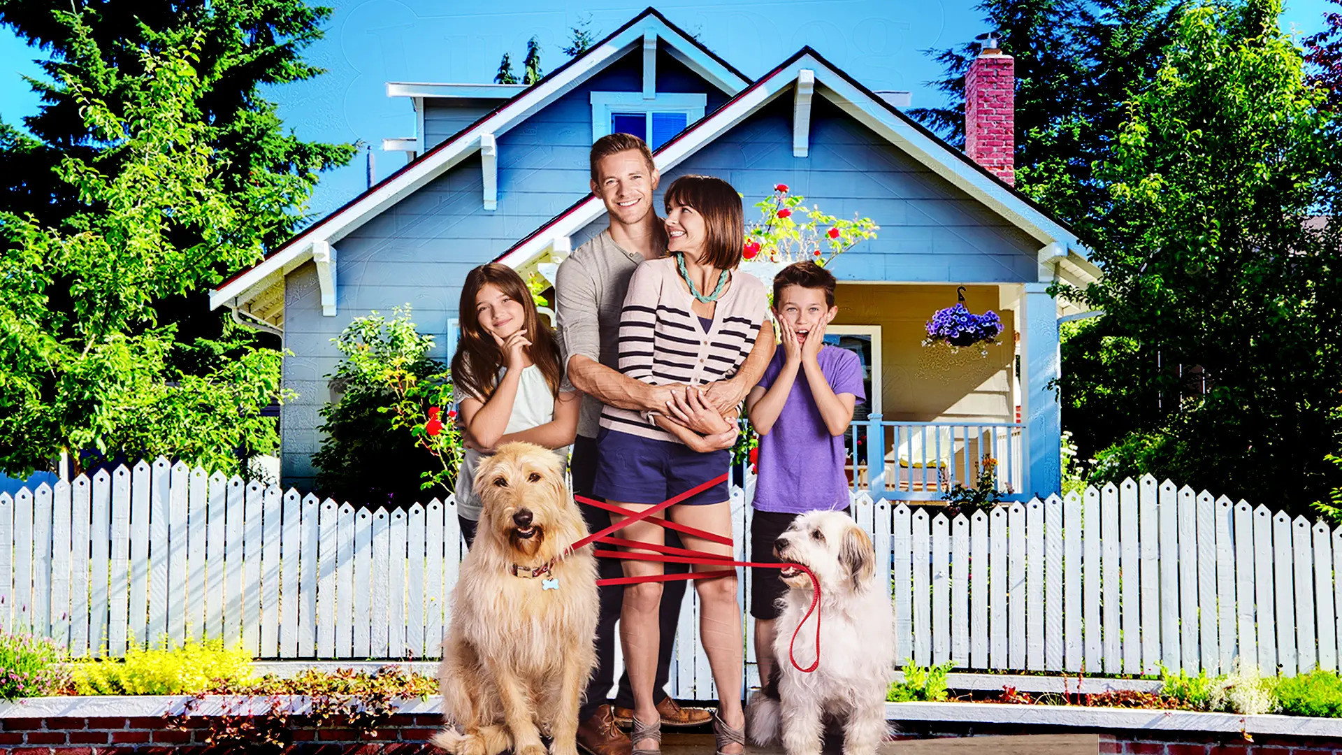 Lucky Dog's poster