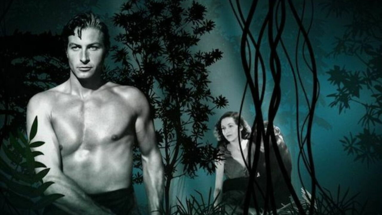 Tarzan Revisited's poster