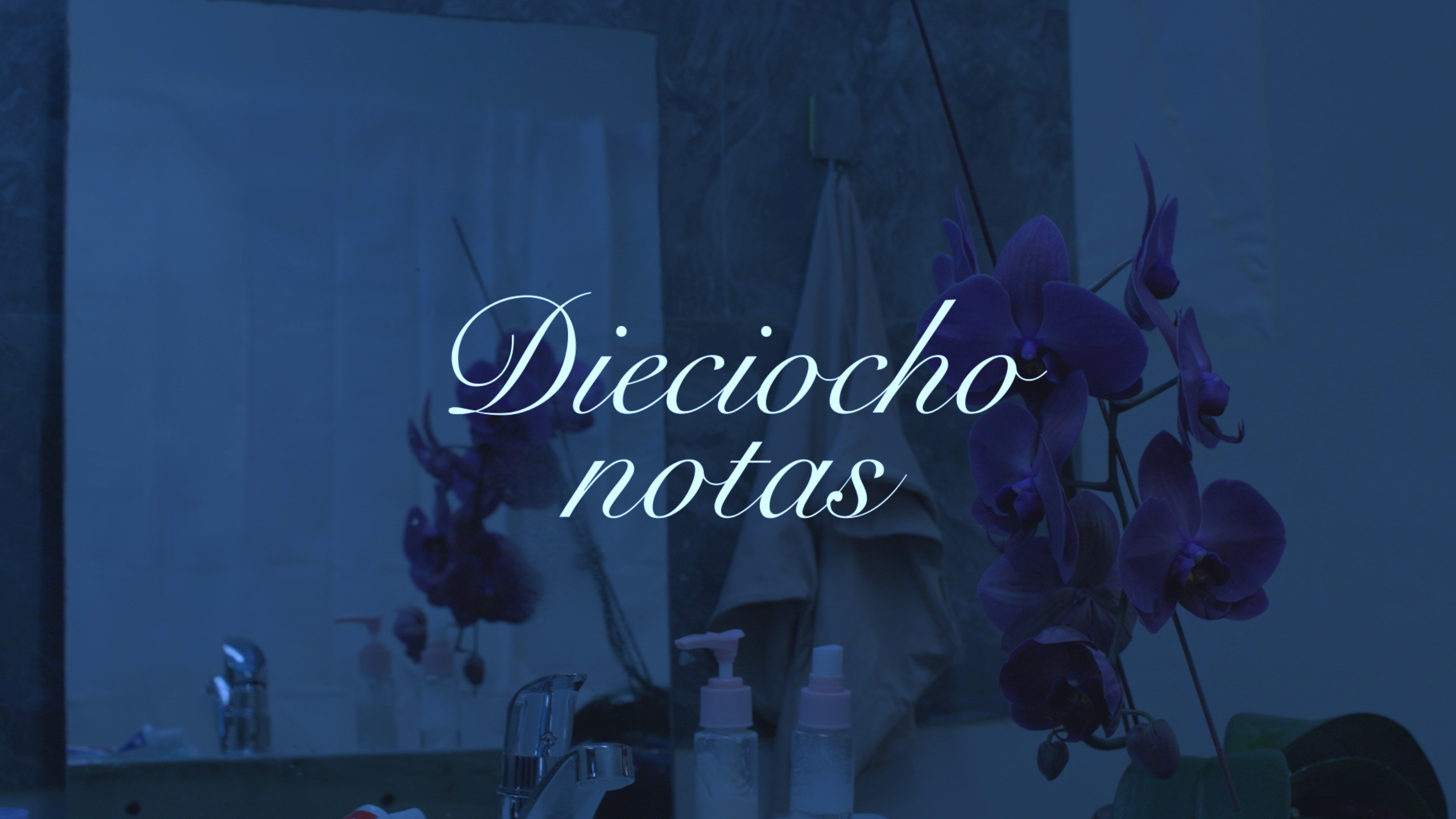 Dieciocho Notas's poster