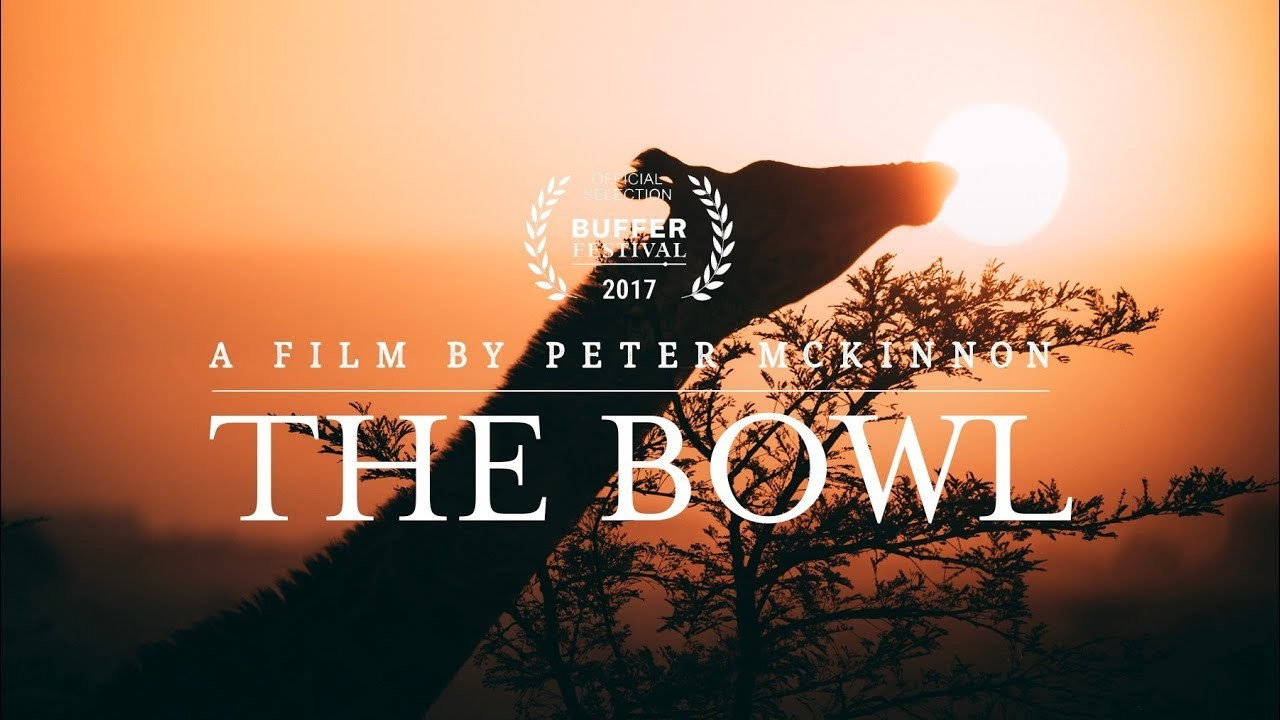 The Bowl's poster