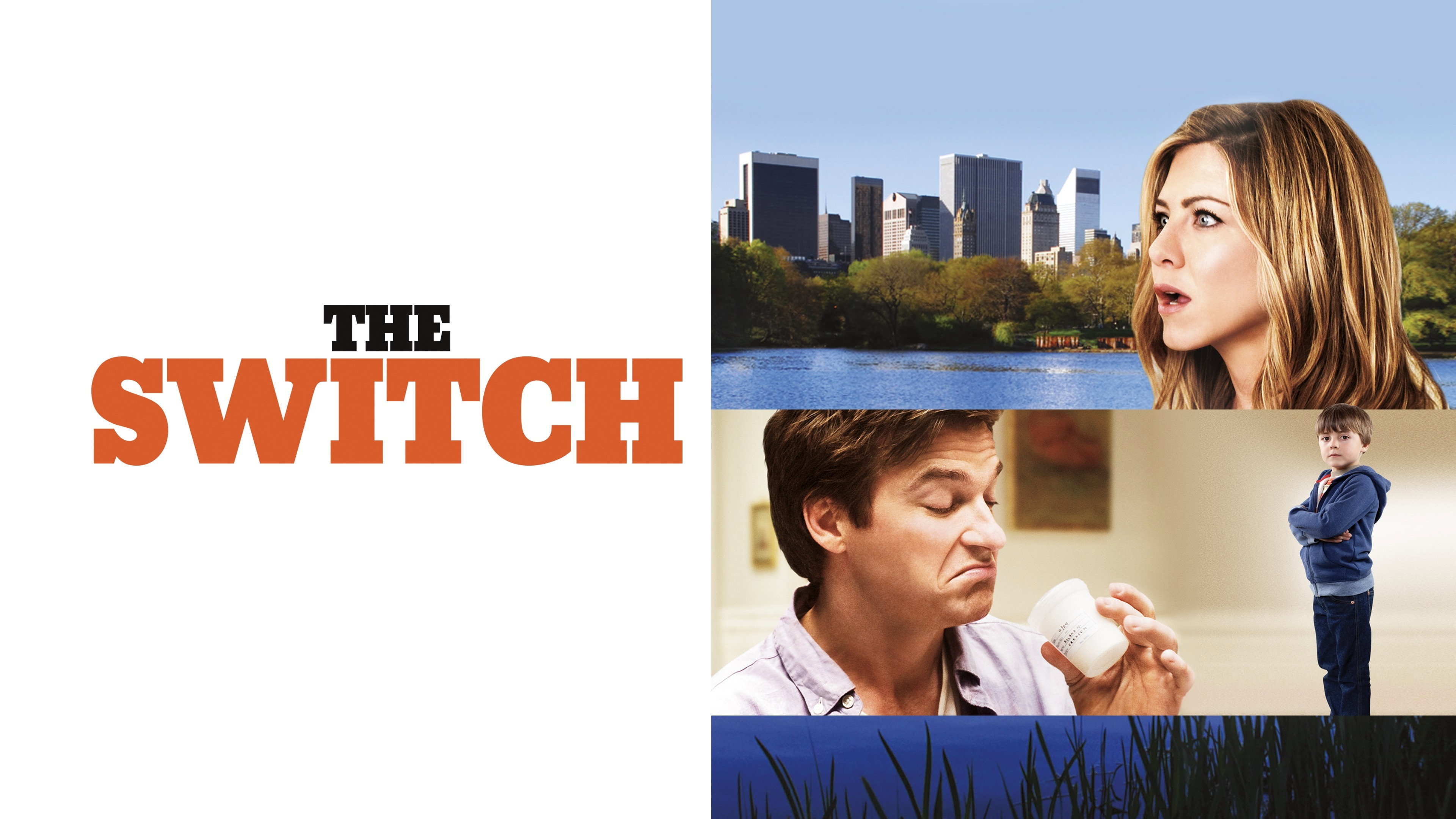 The Switch's poster