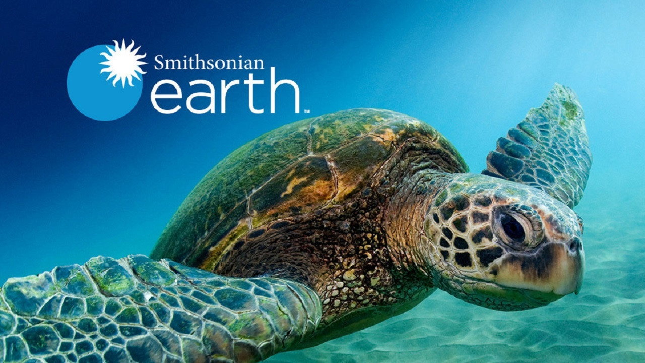 Reef Wrecks's poster