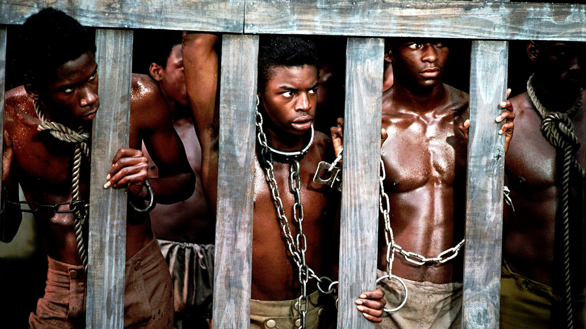 Roots's poster