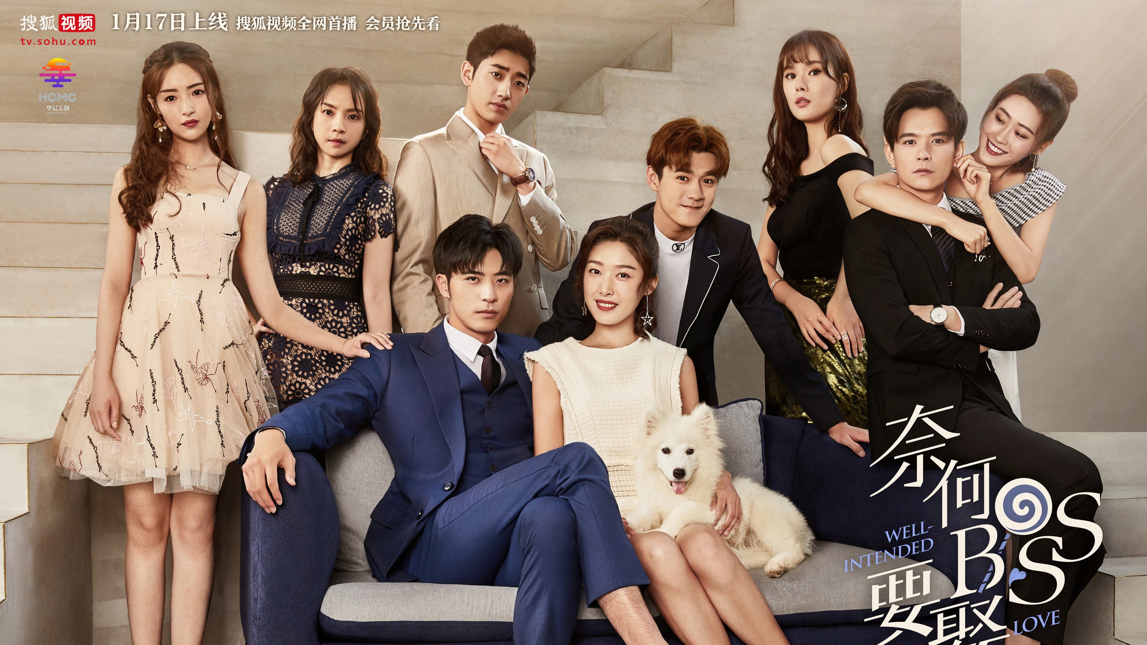 Well-Intended Love's poster