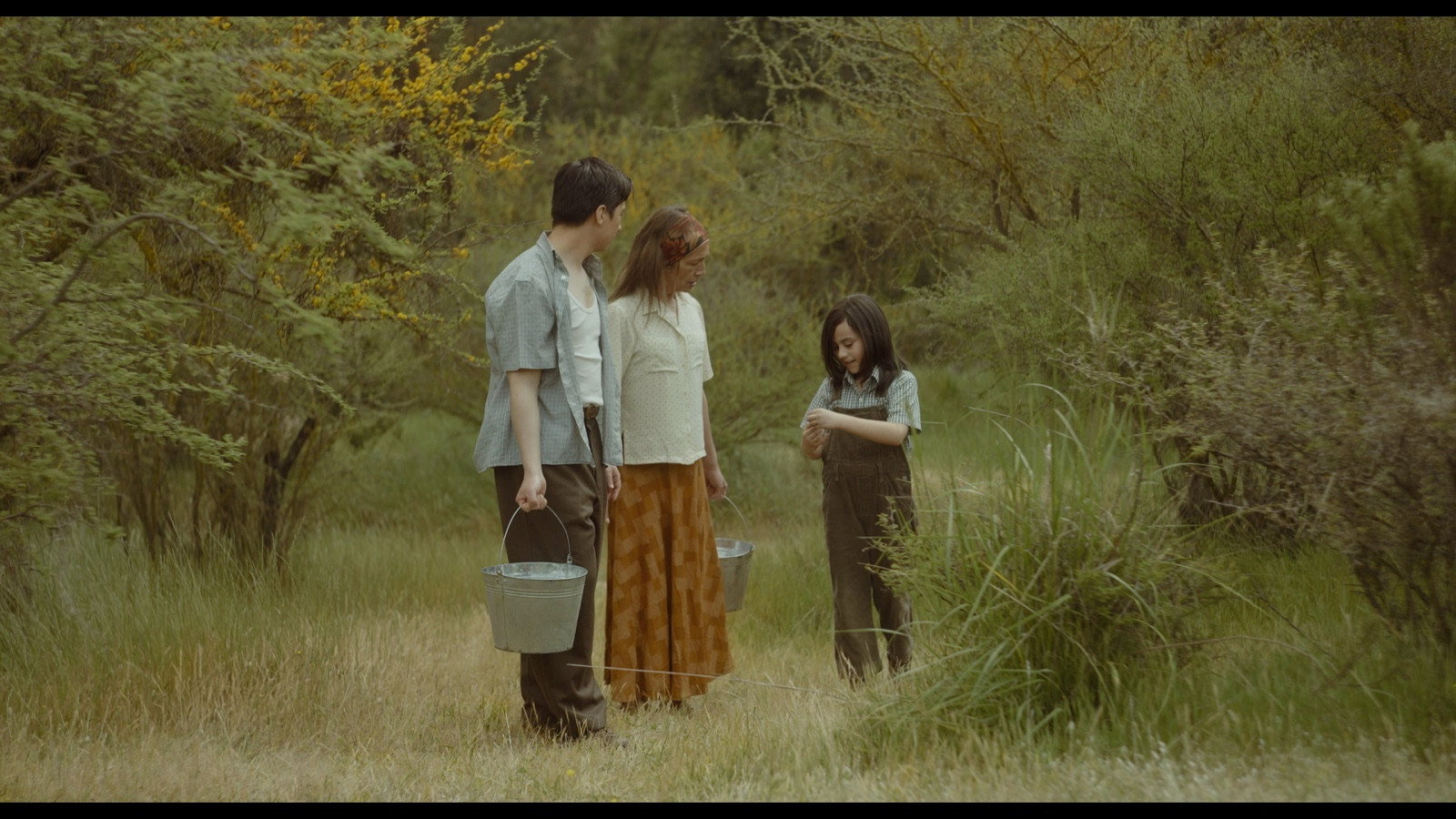 Summer Days's poster