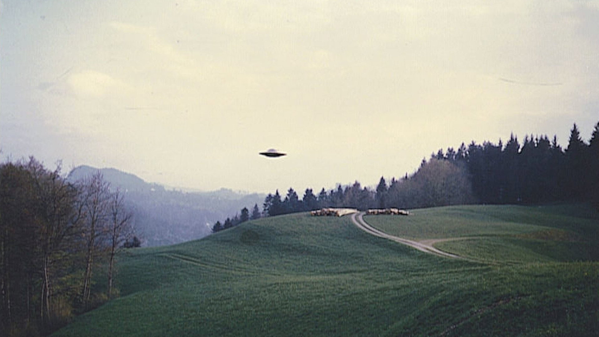 Contact's poster