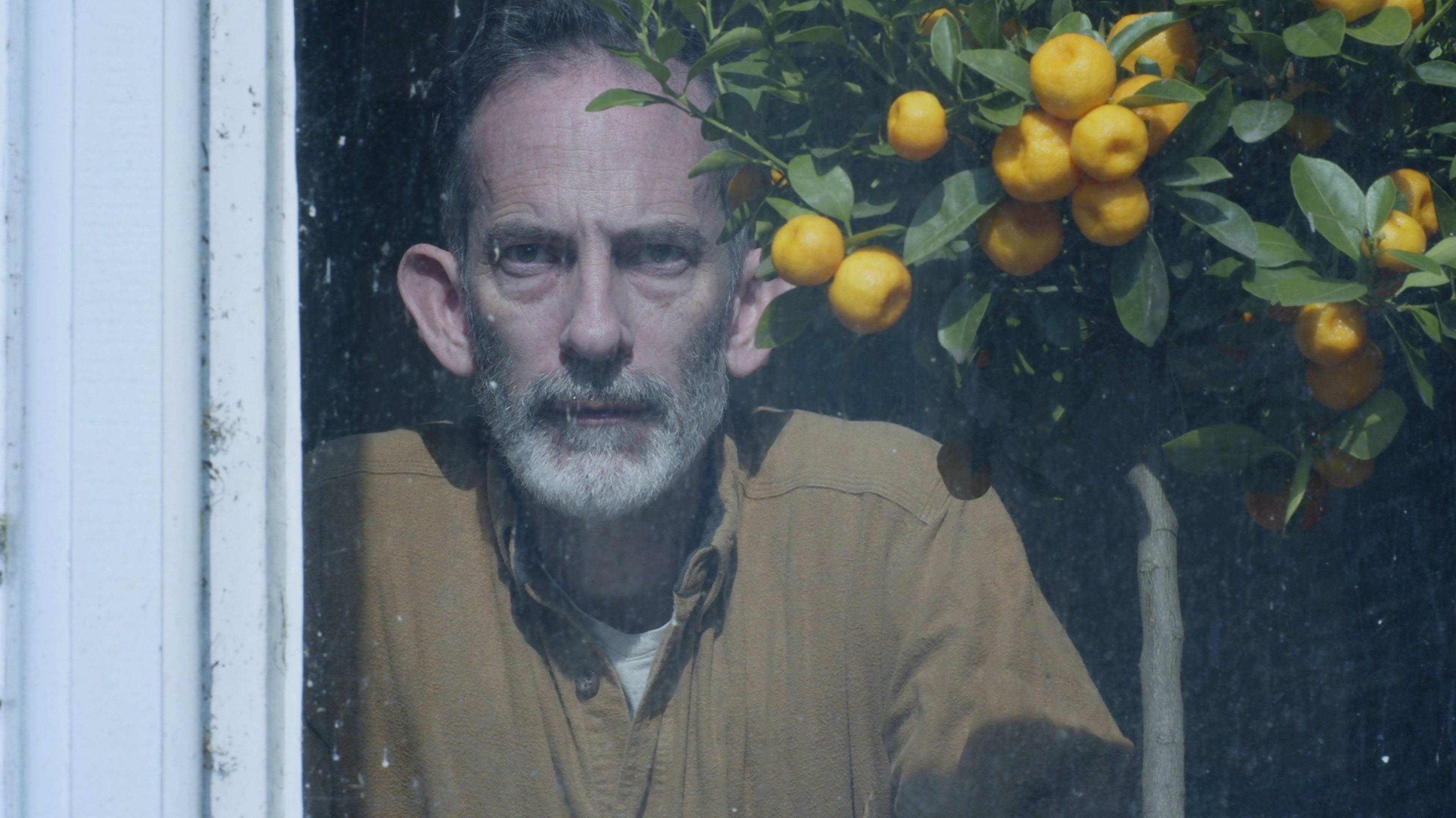 In The Moonlight's poster
