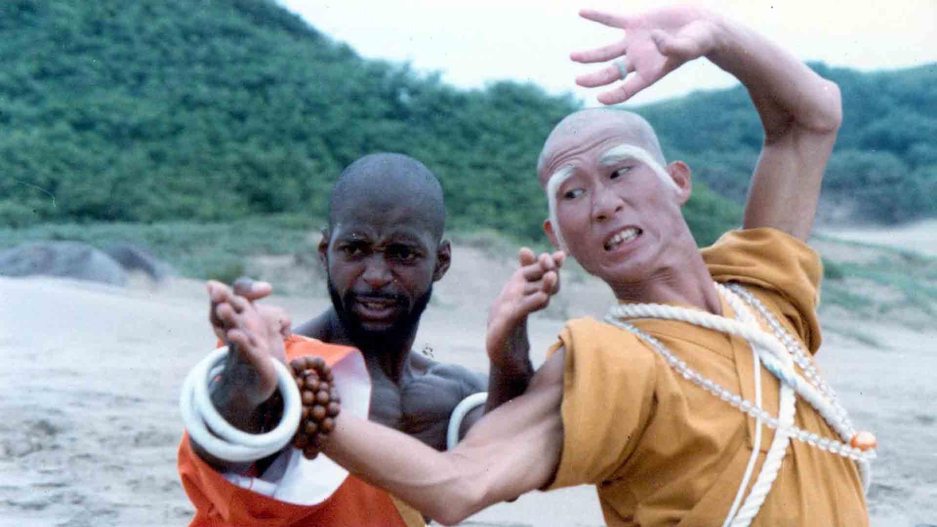 Shaolin Dolemite's poster