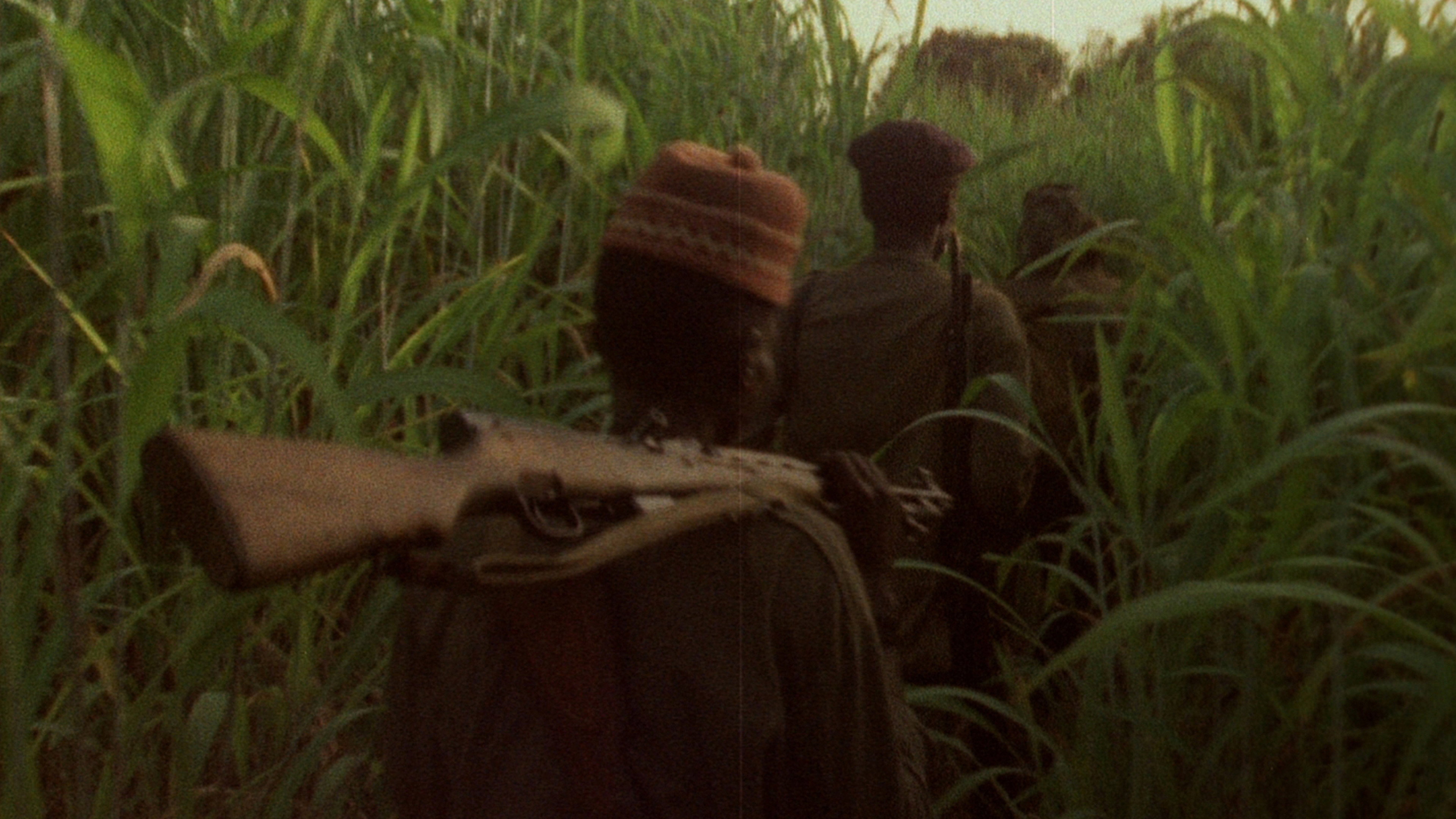 Concerning Violence's poster