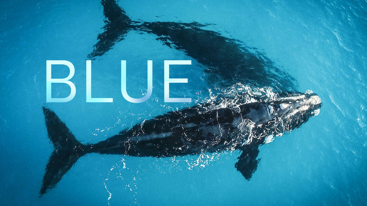 Blue's poster