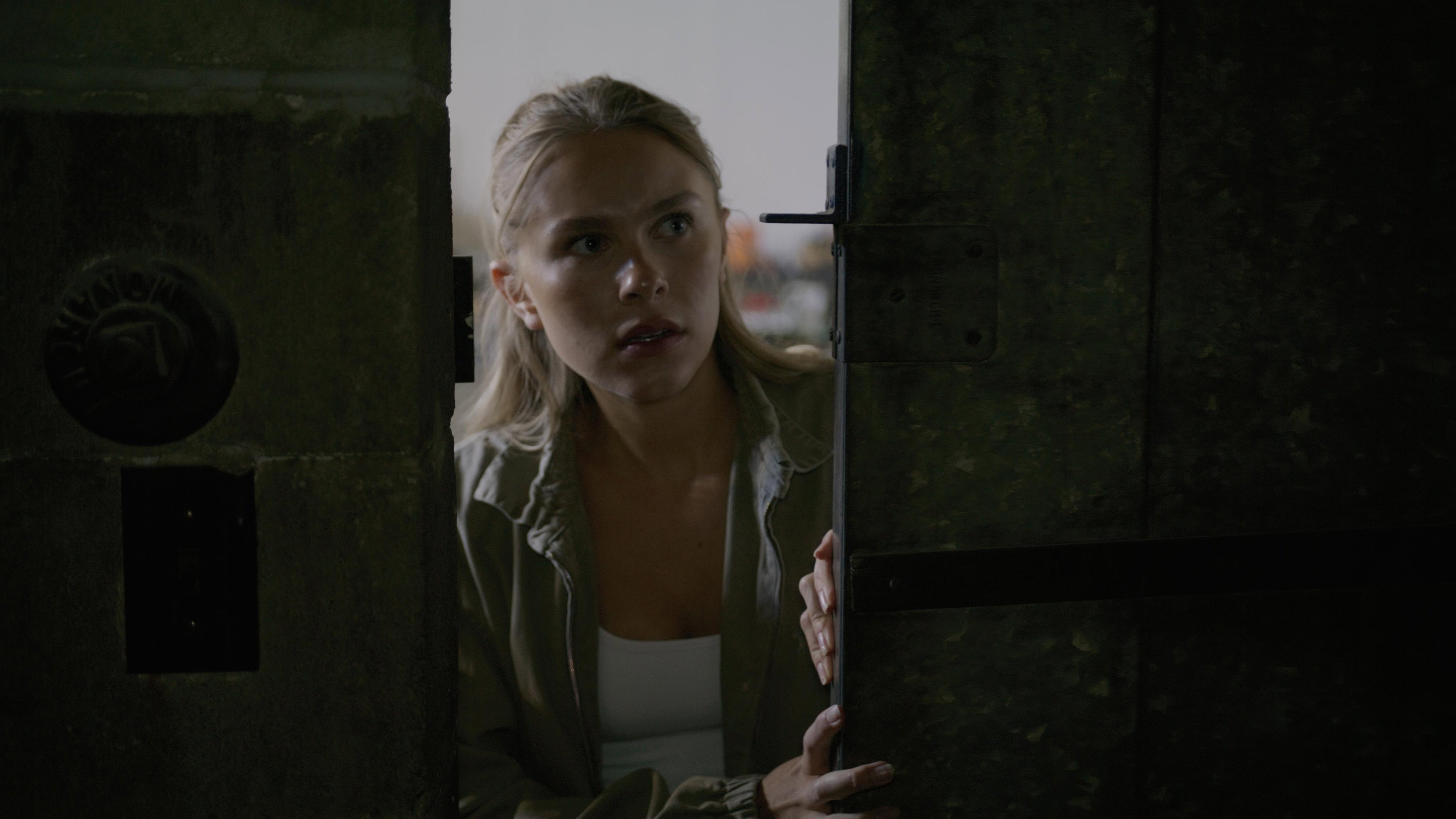 Through the Door's poster