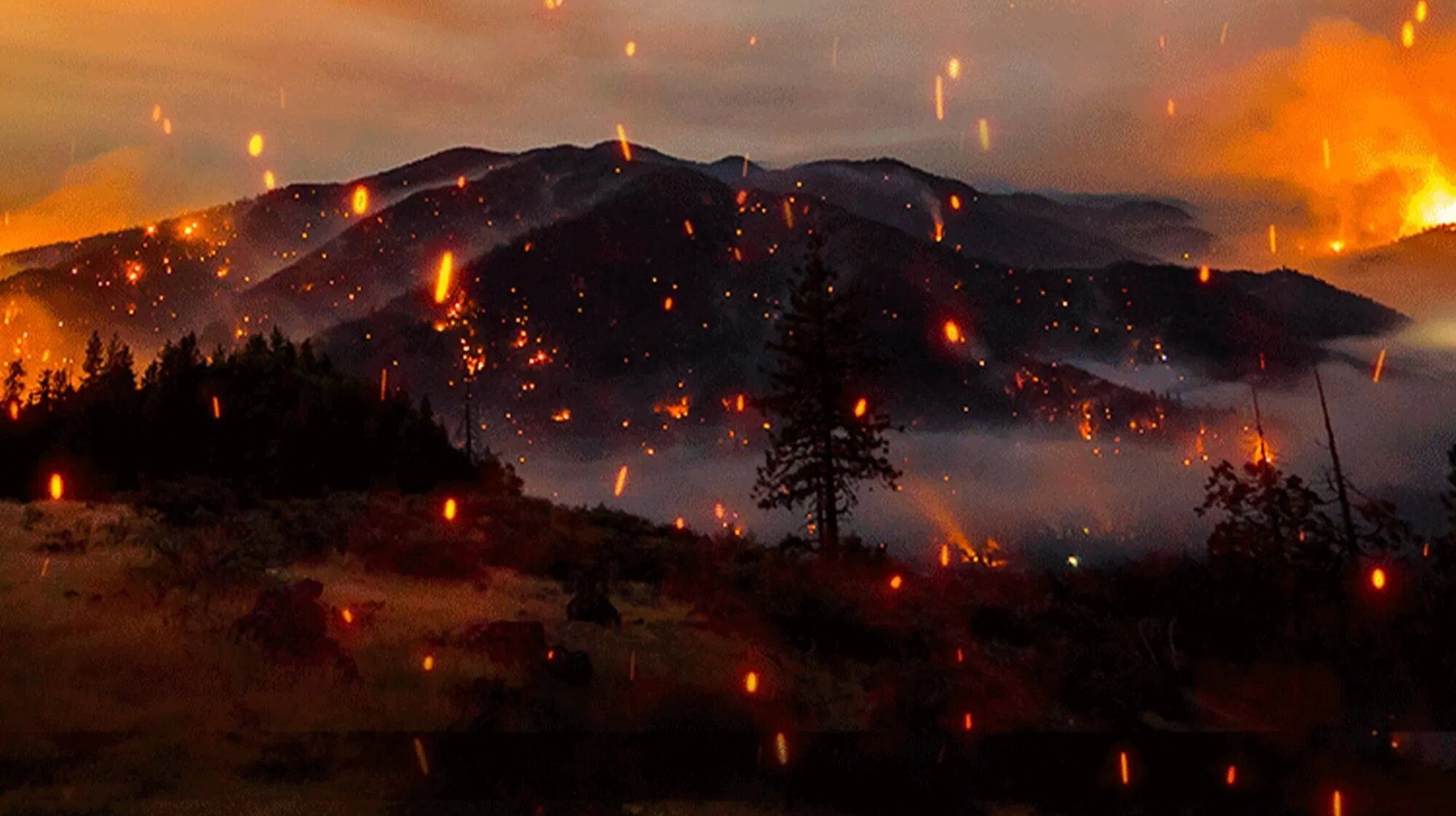 Elemental: Reimagine Wildfire's poster