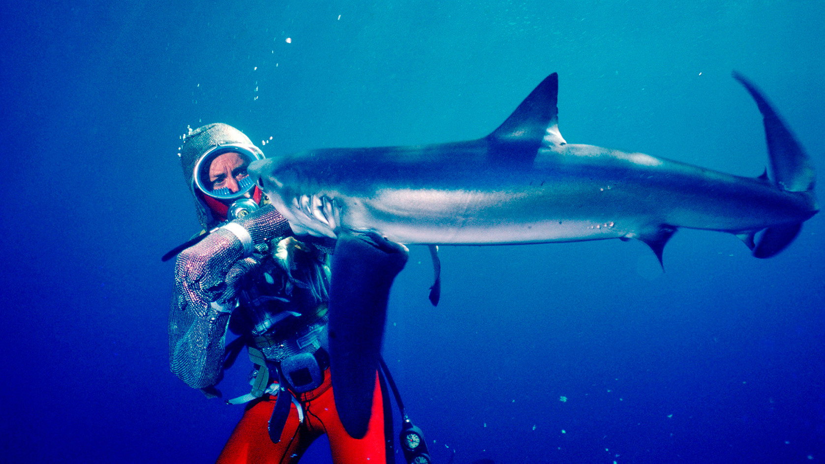 Playing with Sharks's poster