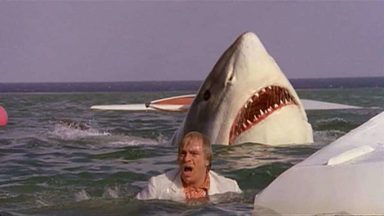 The Last Shark's poster
