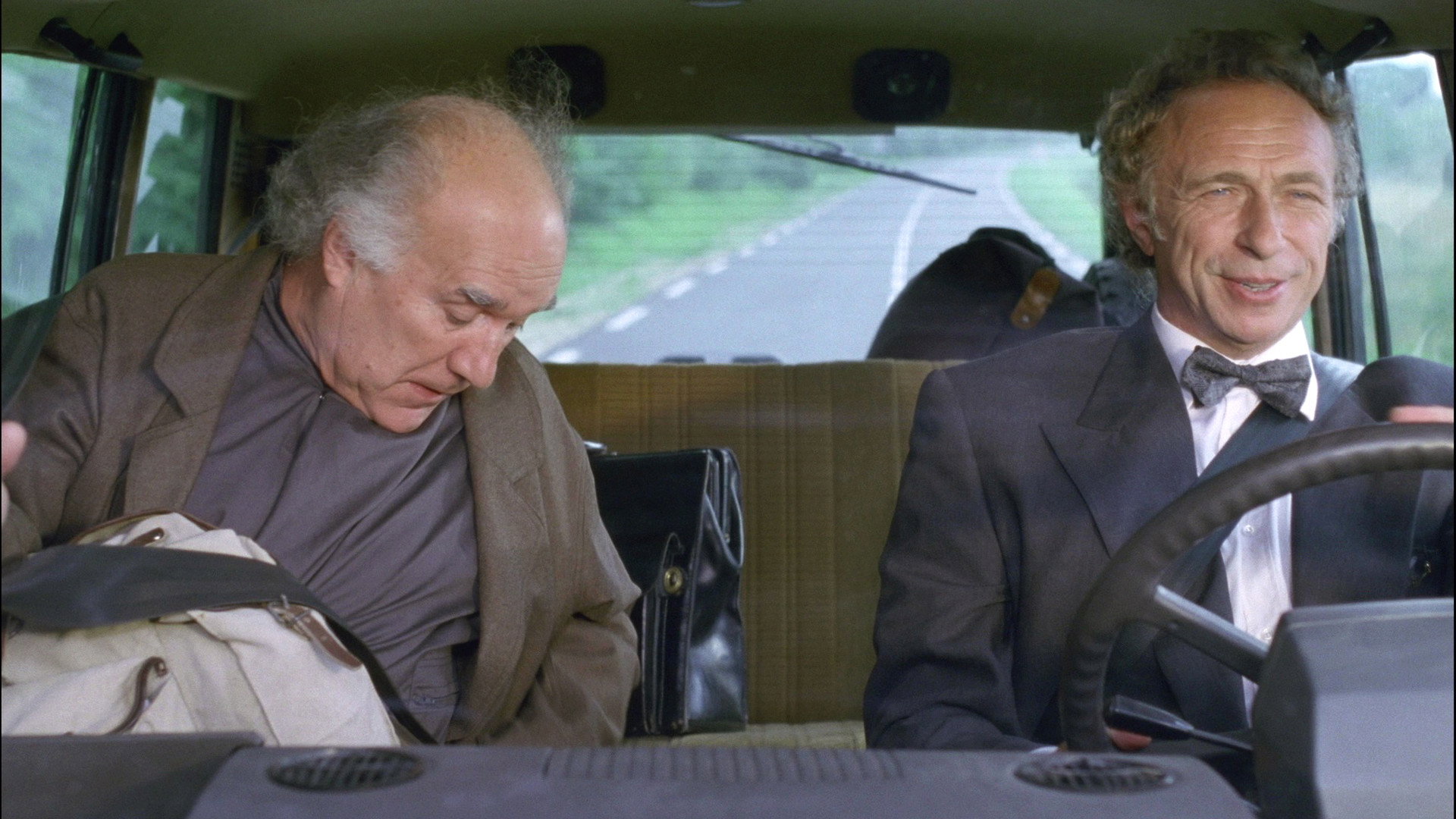 Loonies at Large's poster
