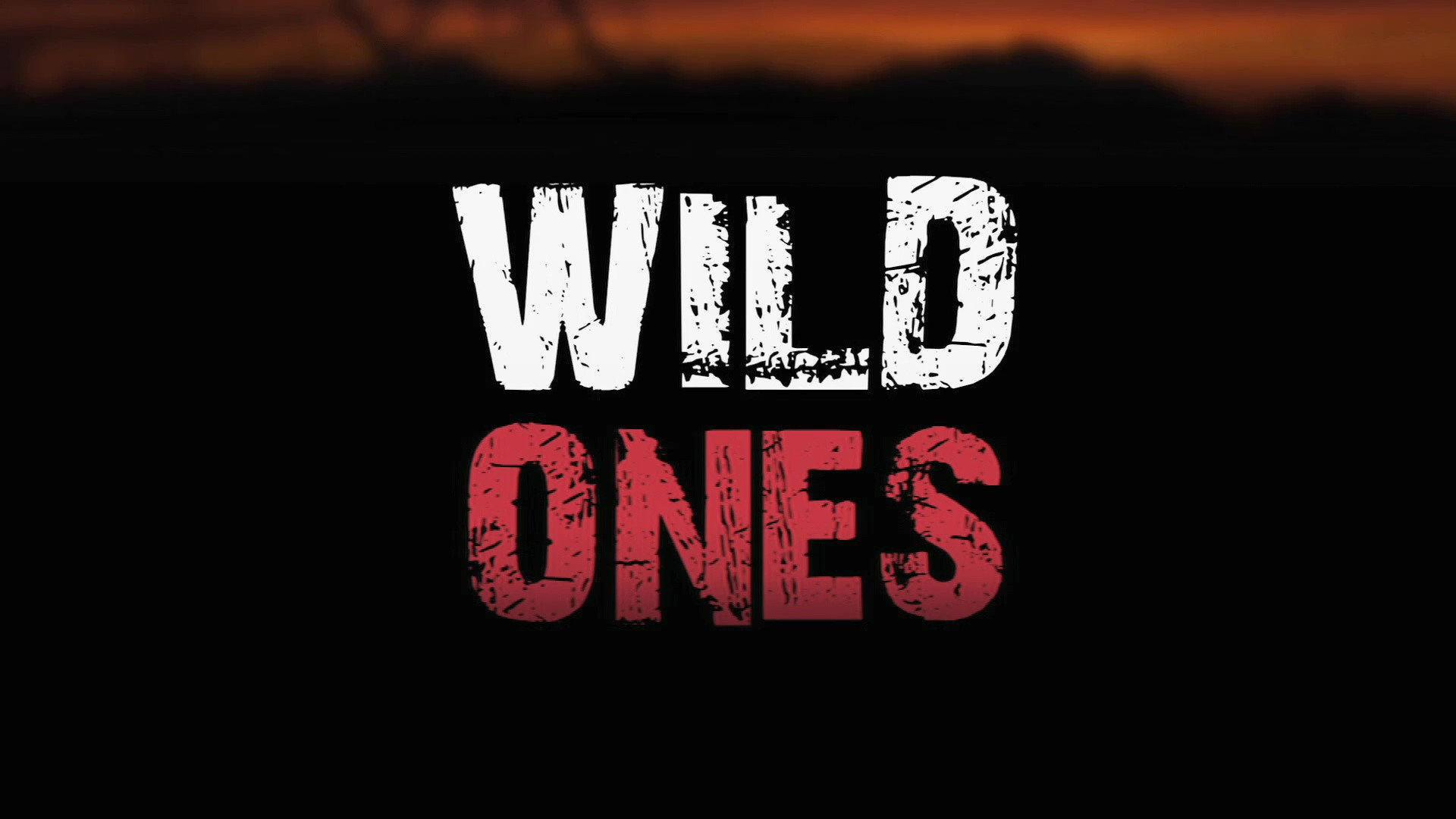 Wild Ones's poster