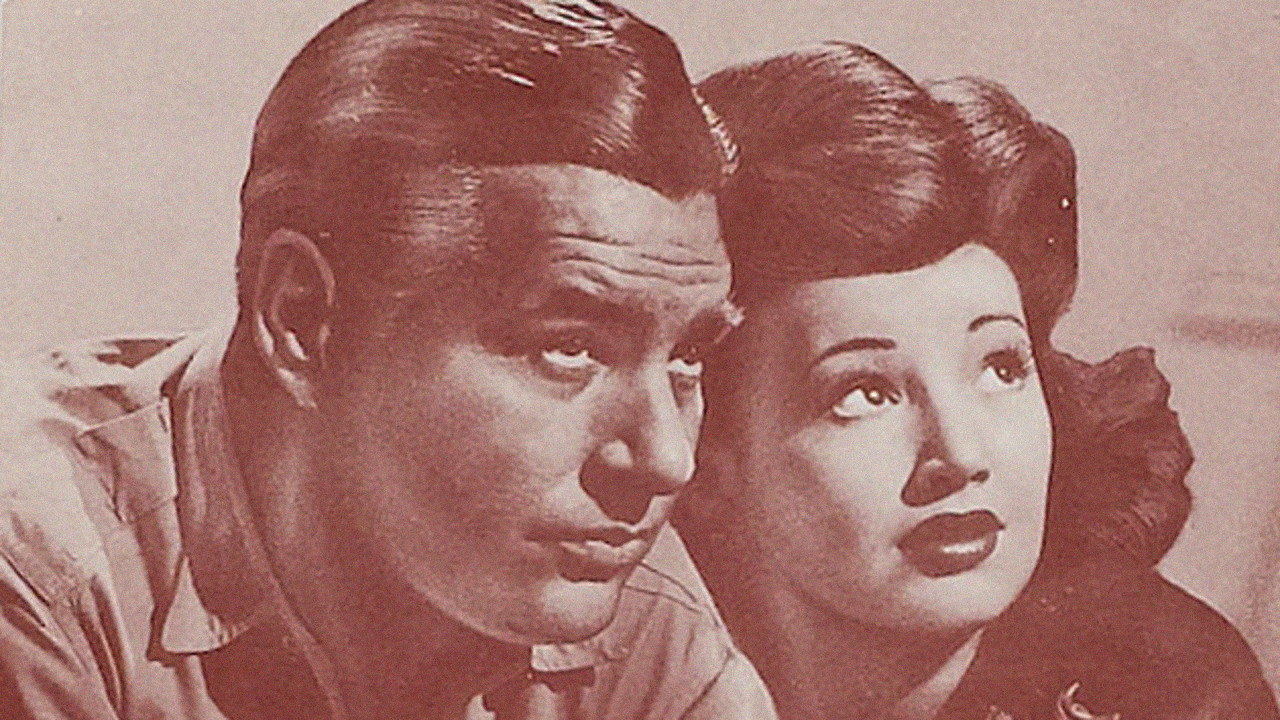 Wildcat's poster