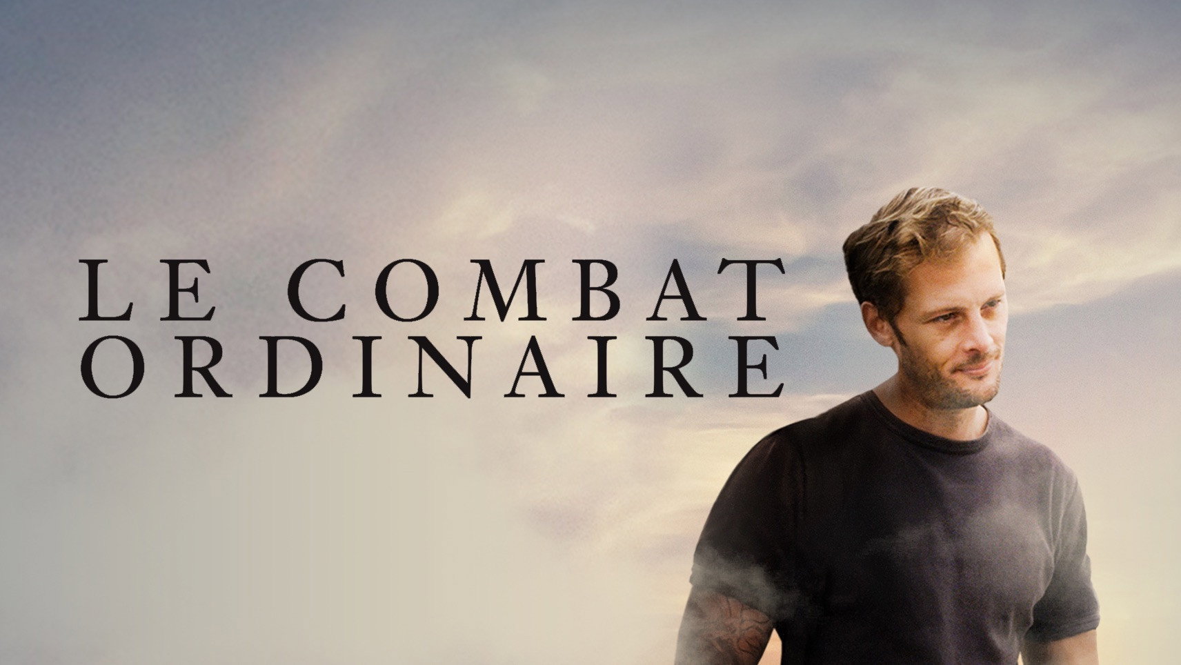 Ordinary Victories's poster