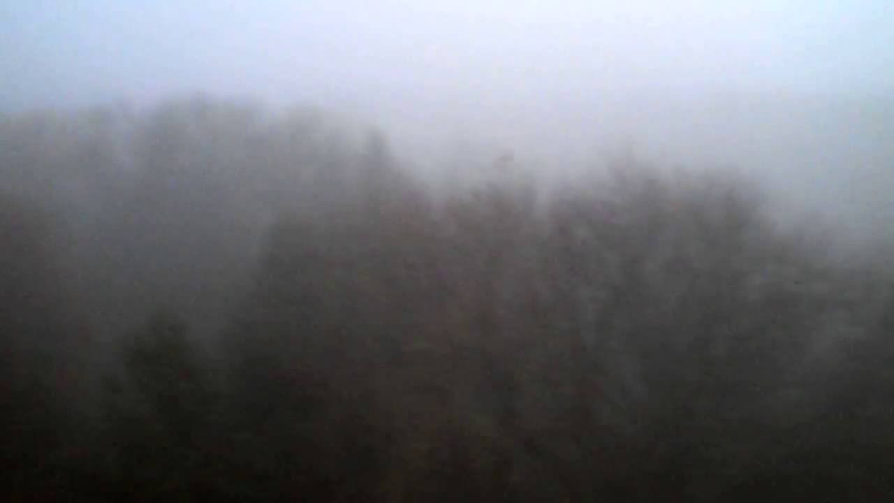 The Land Above The Trees's poster