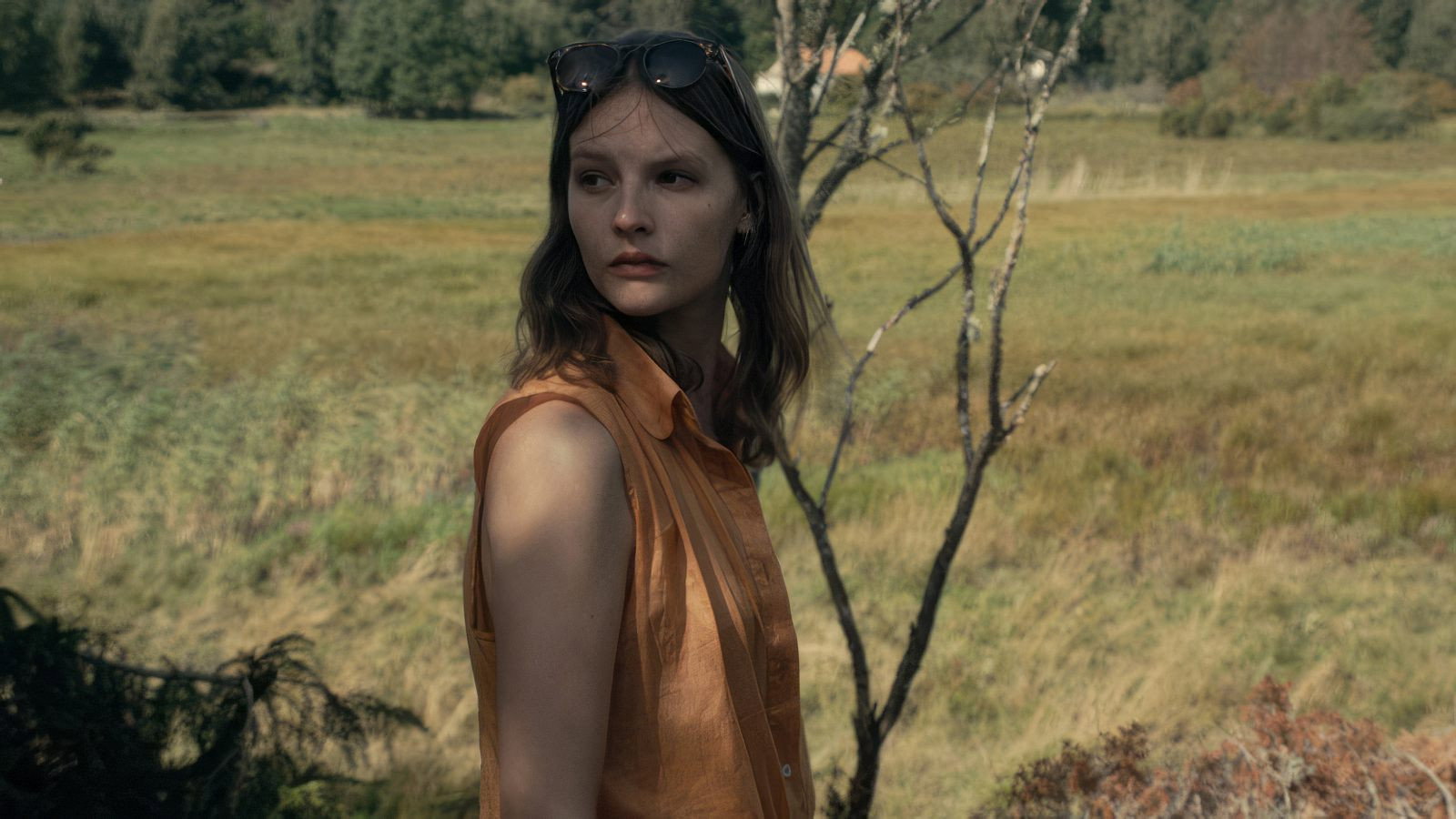 Summer House's poster