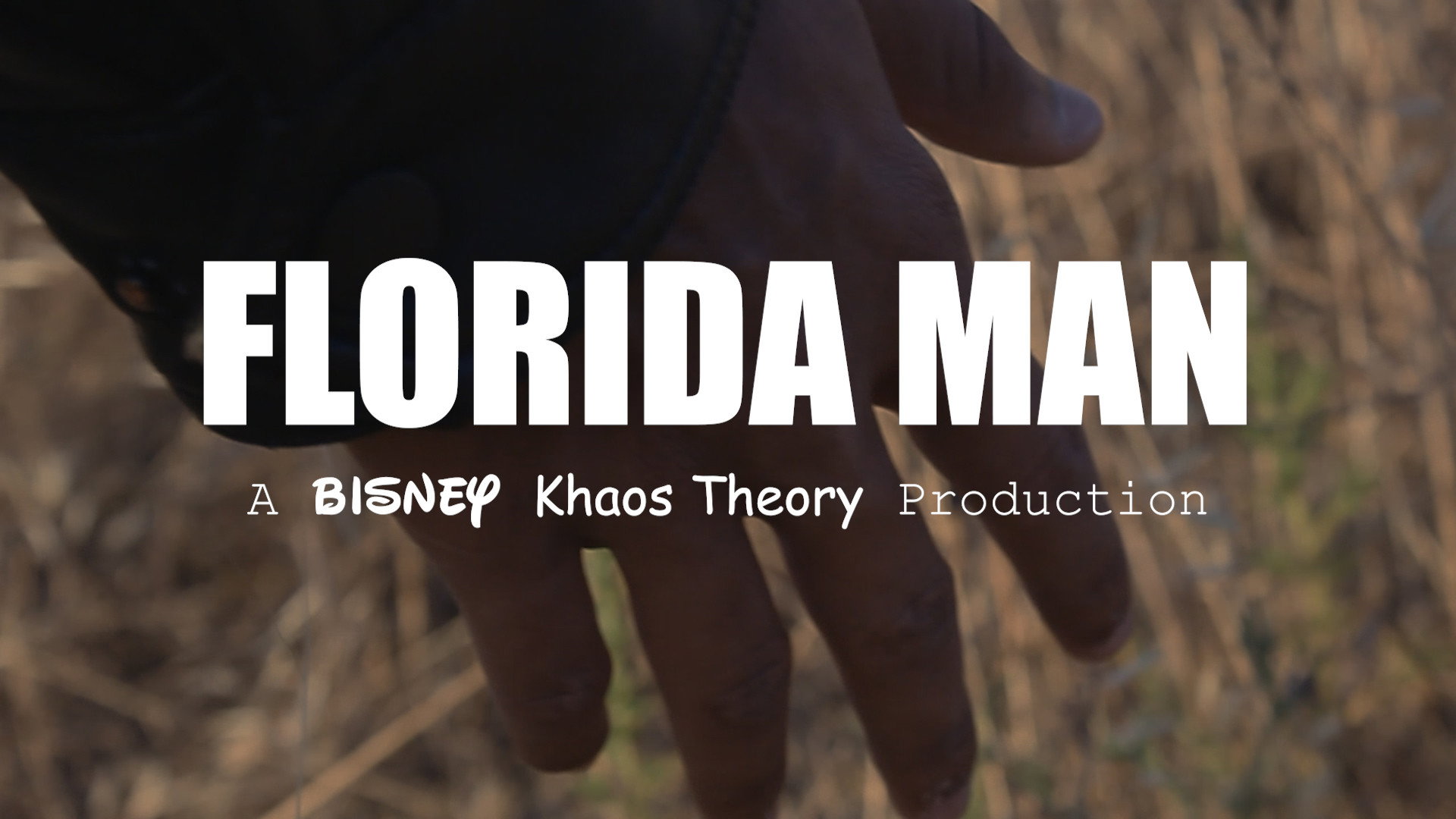 Florida Man's poster