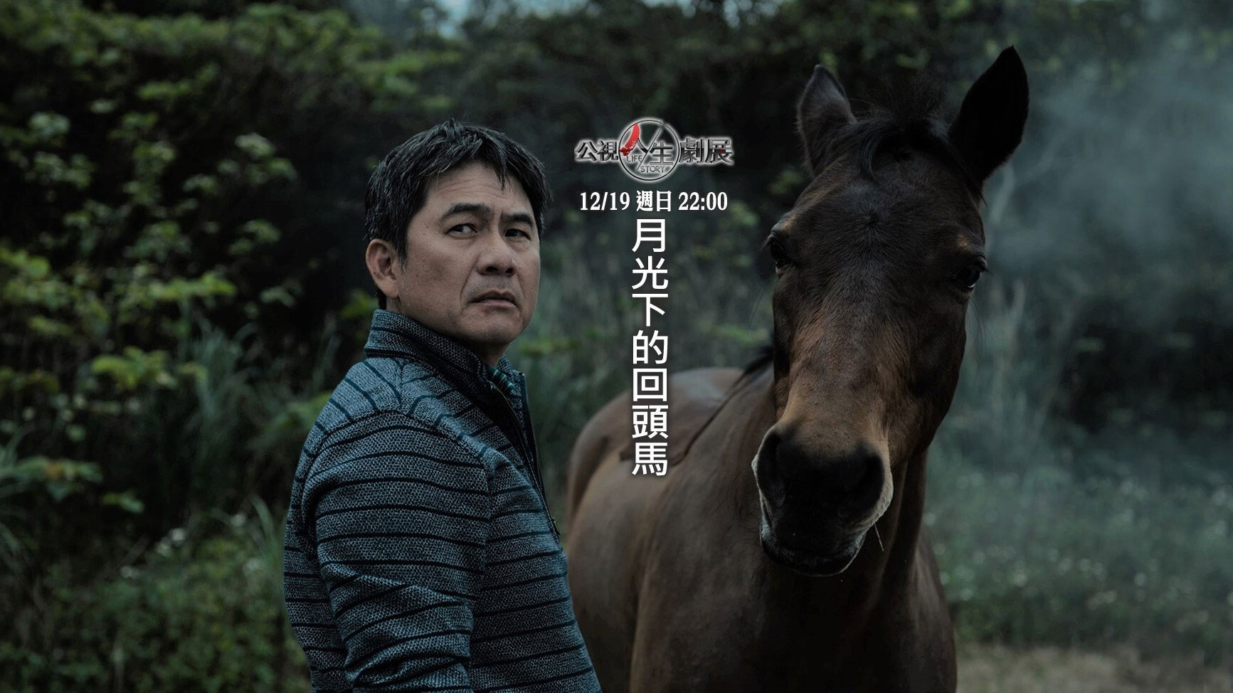 Harking Back's poster