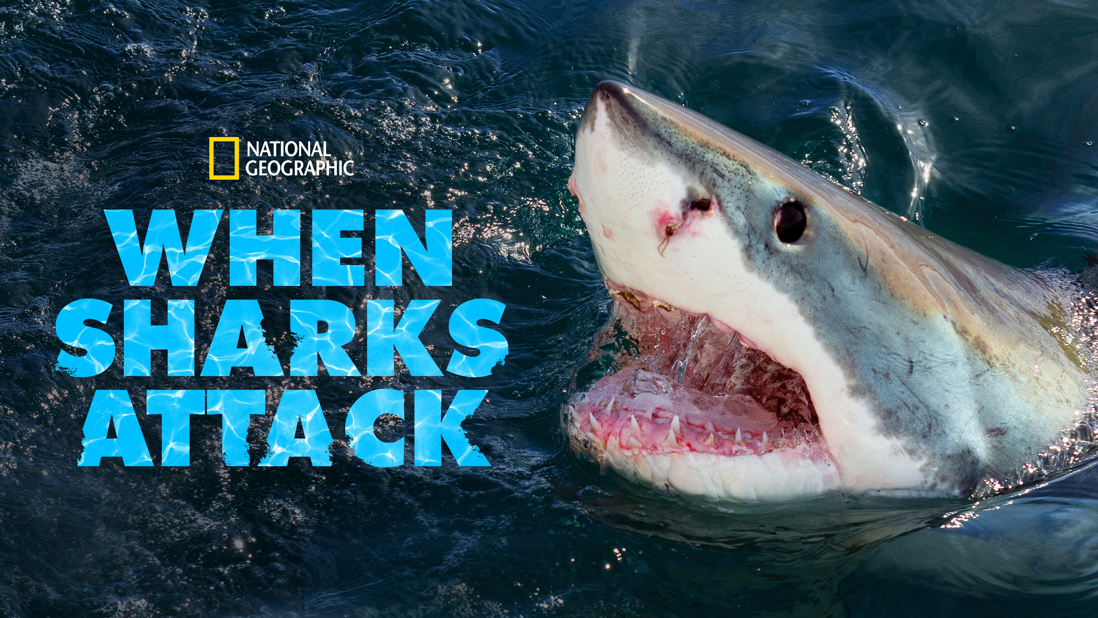 When Sharks Attack's poster