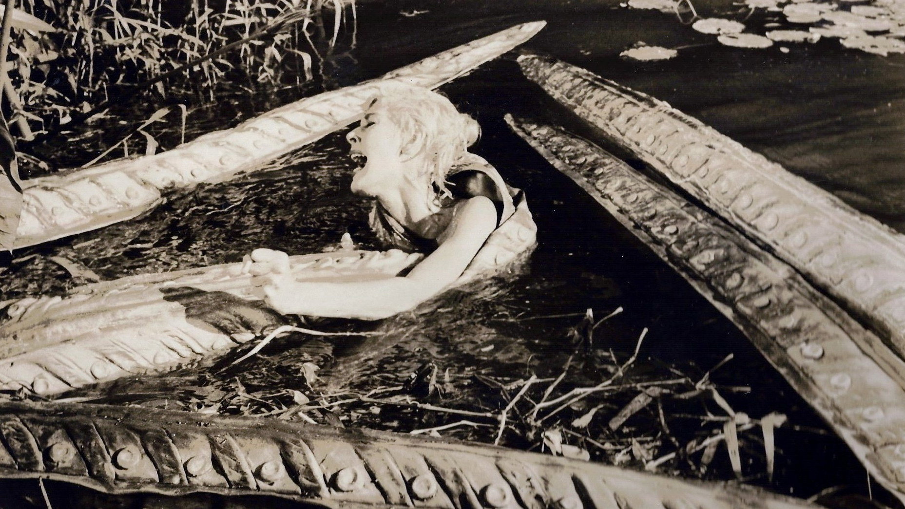 Voodoo Island's poster