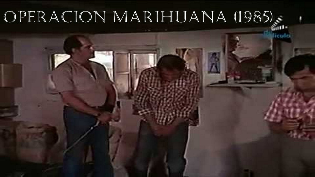 Operation Marihuana's poster